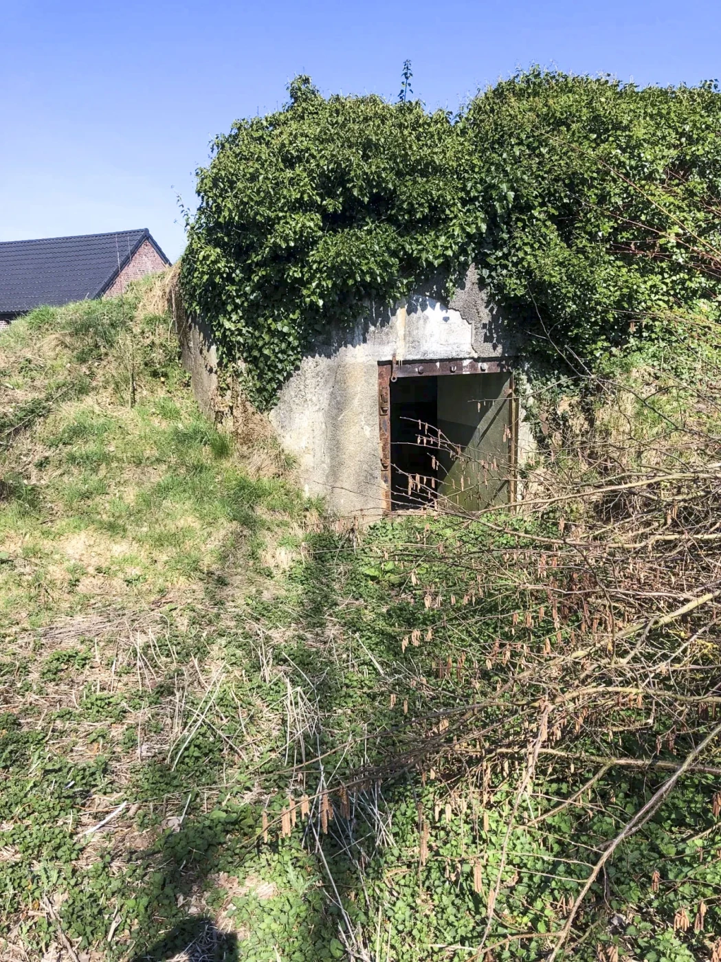 Ligne Maginot - BRUILLE NORD - (Blockhaus pour canon) - La façade arrière du bloc