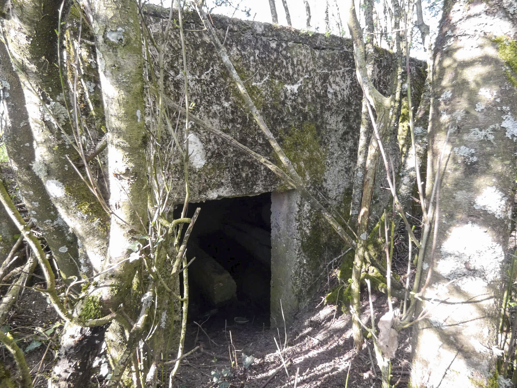 Ligne Maginot - NACHTWEID 6 - (Blockhaus pour arme infanterie) - L'entrée