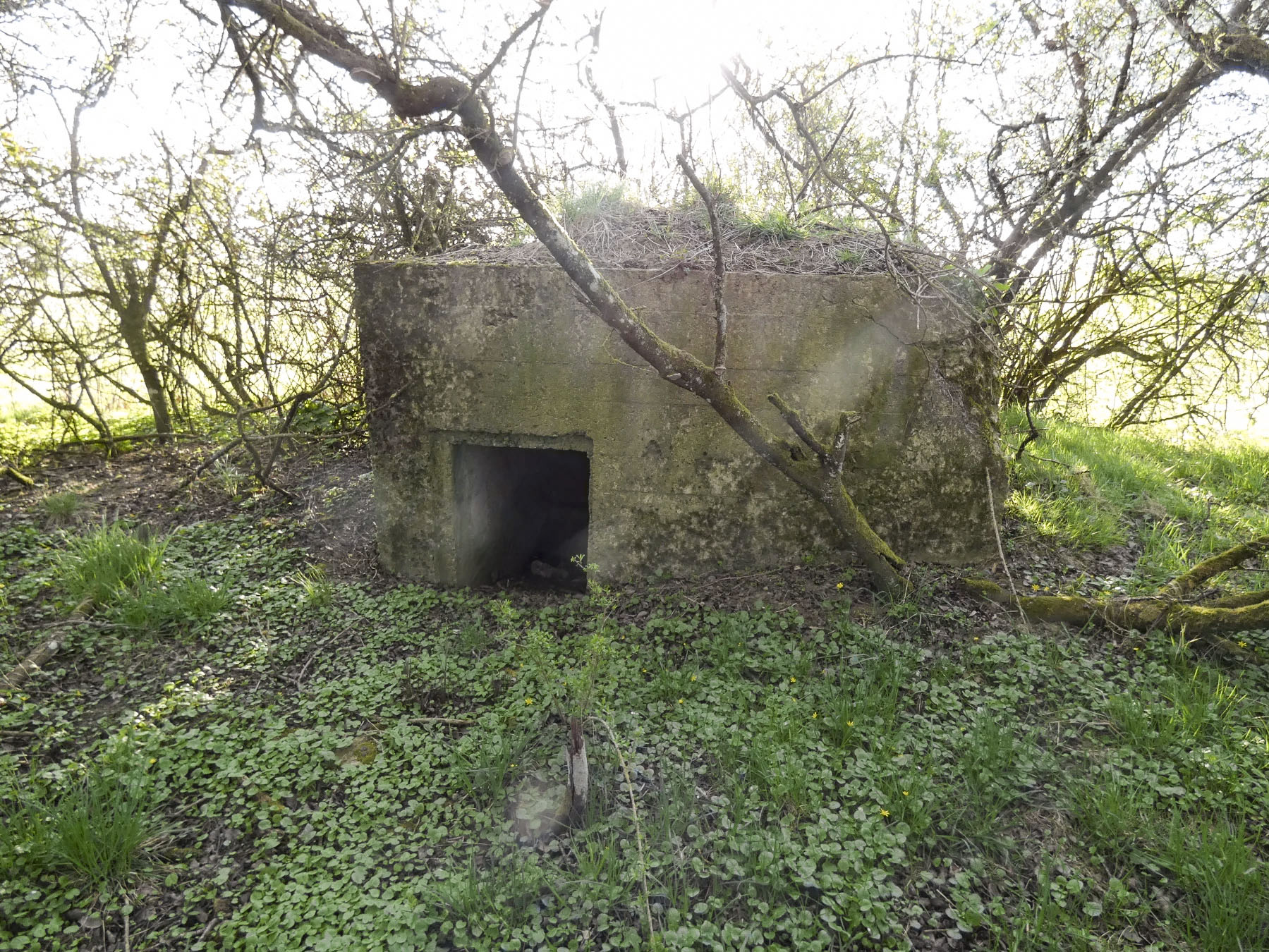 Ligne Maginot - GUCKENBERG 6 - (Blockhaus pour arme infanterie) - La face arrière