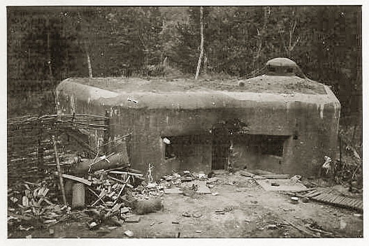 Ligne Maginot - MARKBACH - (Blockhaus pour arme infanterie) - Vue d'ensemble