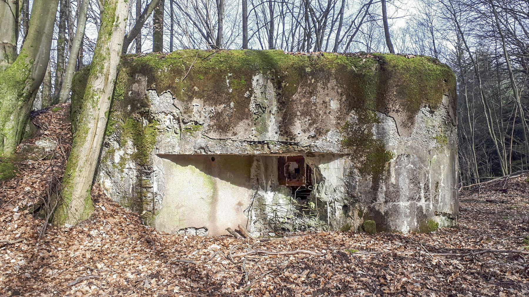 Ligne Maginot - MARKBACH - (Blockhaus pour arme infanterie) - Chambre de tir Ouest