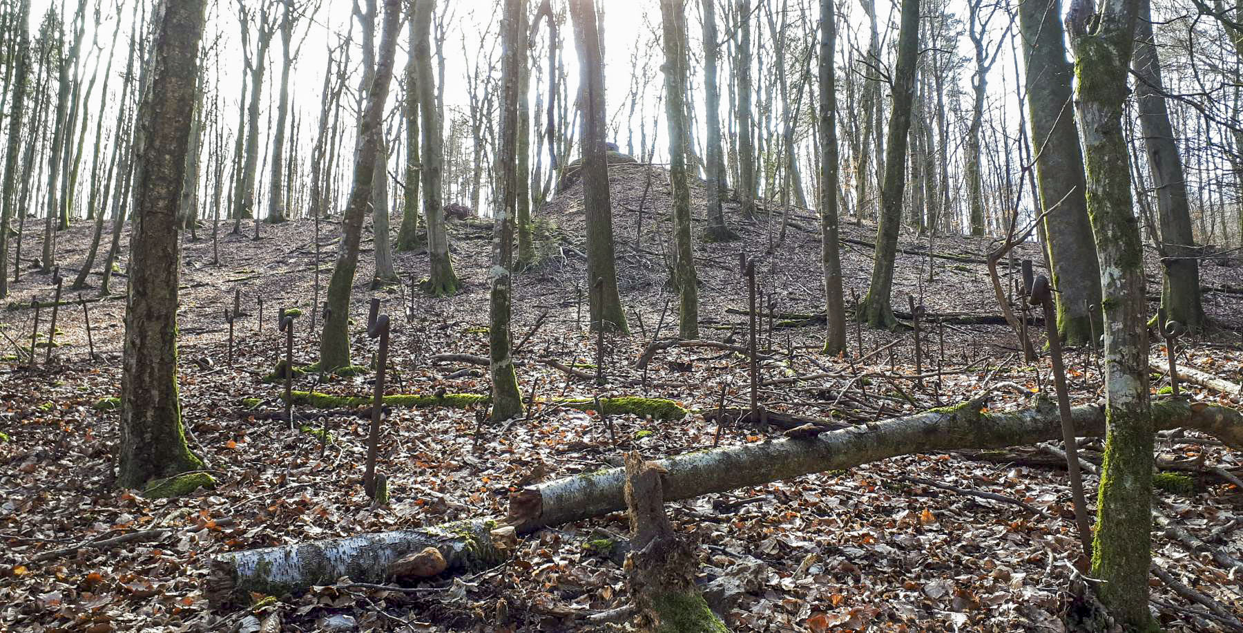 Ligne Maginot - MARKBACH - (Blockhaus pour arme infanterie) - Réseau de barbelés