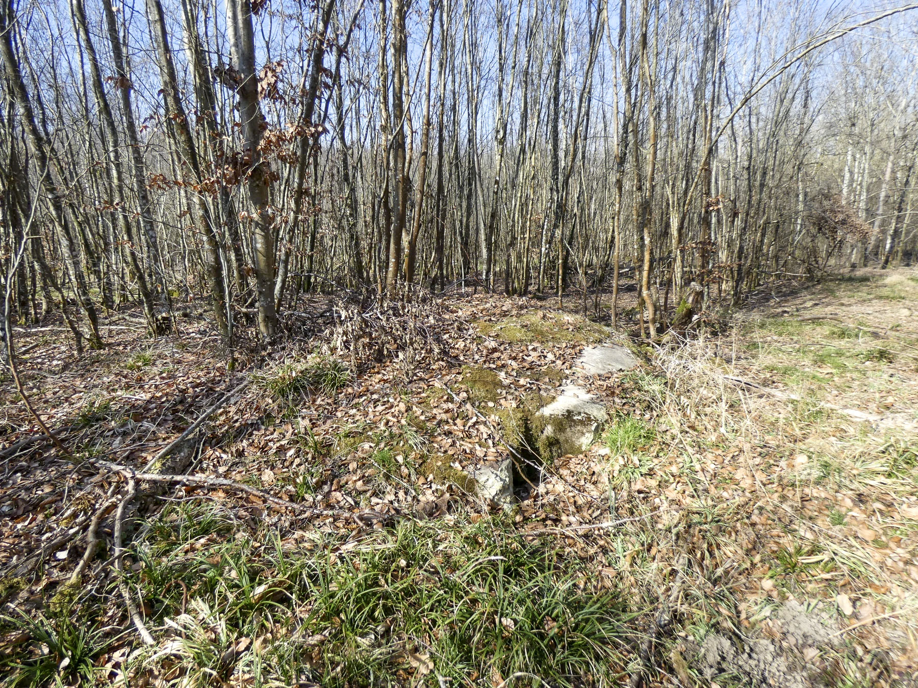Ligne Maginot - BORNUNGSHOFF EST 2  - (Blockhaus pour arme infanterie) - Le blockhaus est en partie remblayé.