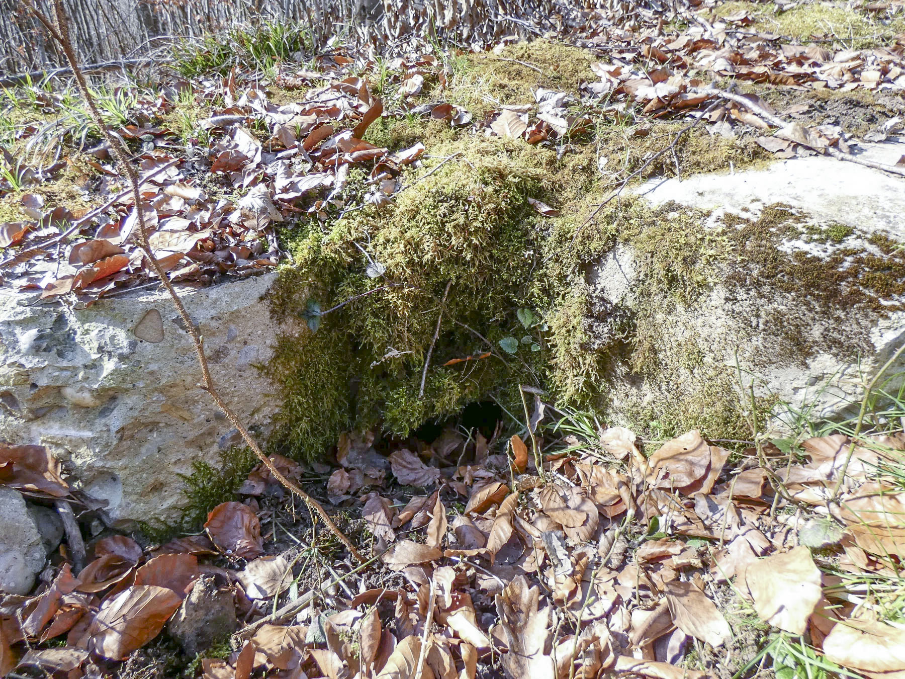 Ligne Maginot - BORNUNGSHOFF EST 2  - (Blockhaus pour arme infanterie) - L'emplacement d'un créneau.