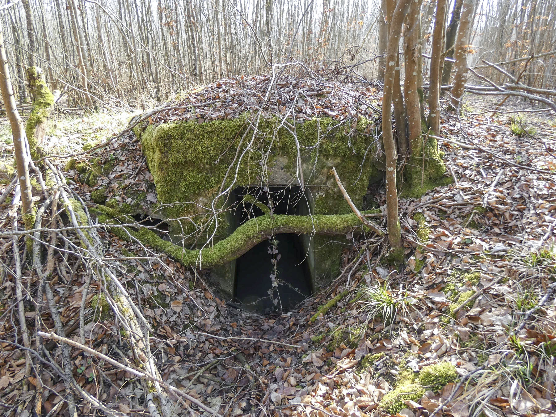 Ligne Maginot - BORNUNGSHOFF EST 2  - (Blockhaus pour arme infanterie) - L'entrée du blockhaus.