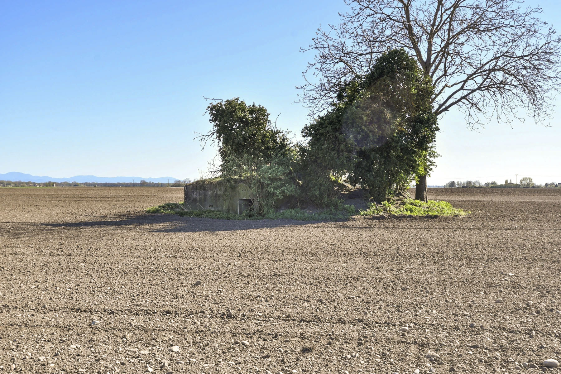 Ligne Maginot - ELSENHEIM 1 - (Abri) - 
