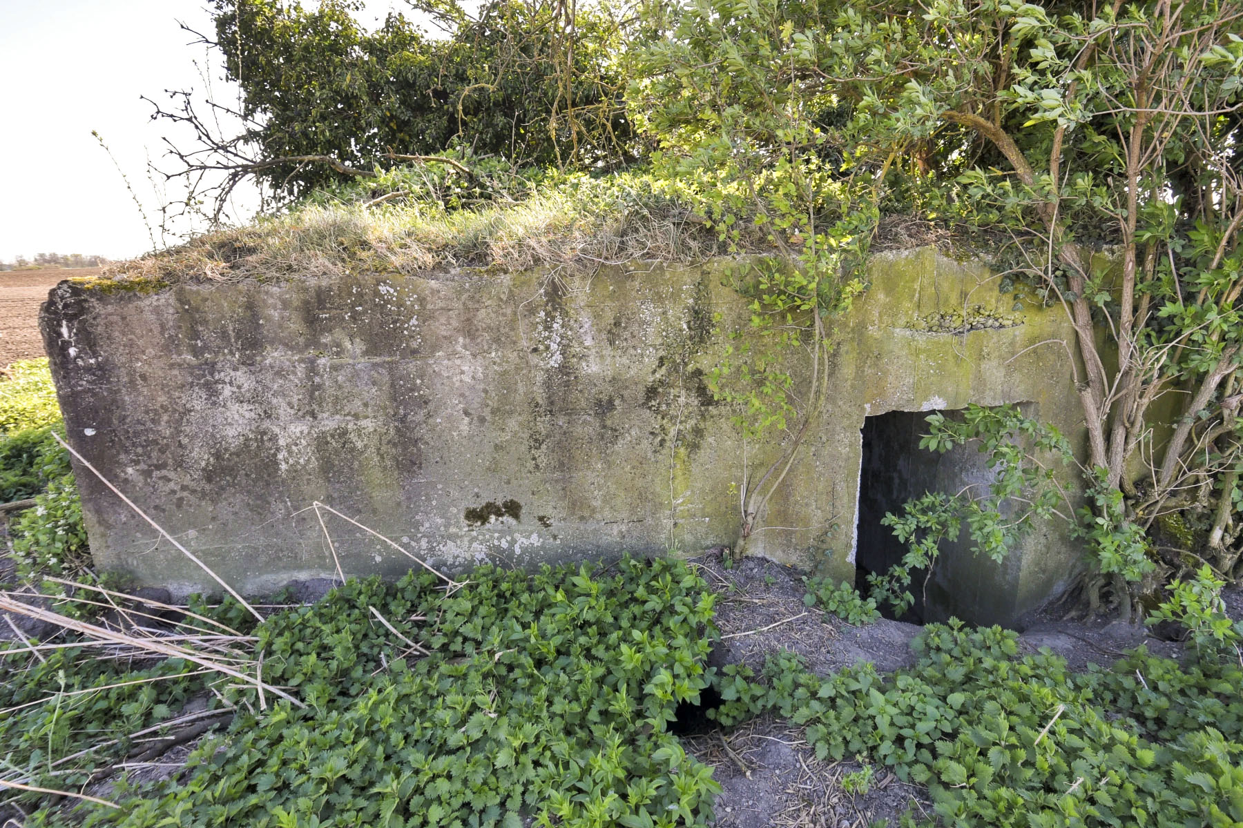 Ligne Maginot - ELSENHEIM 1 - (Abri) - Vue Nord
