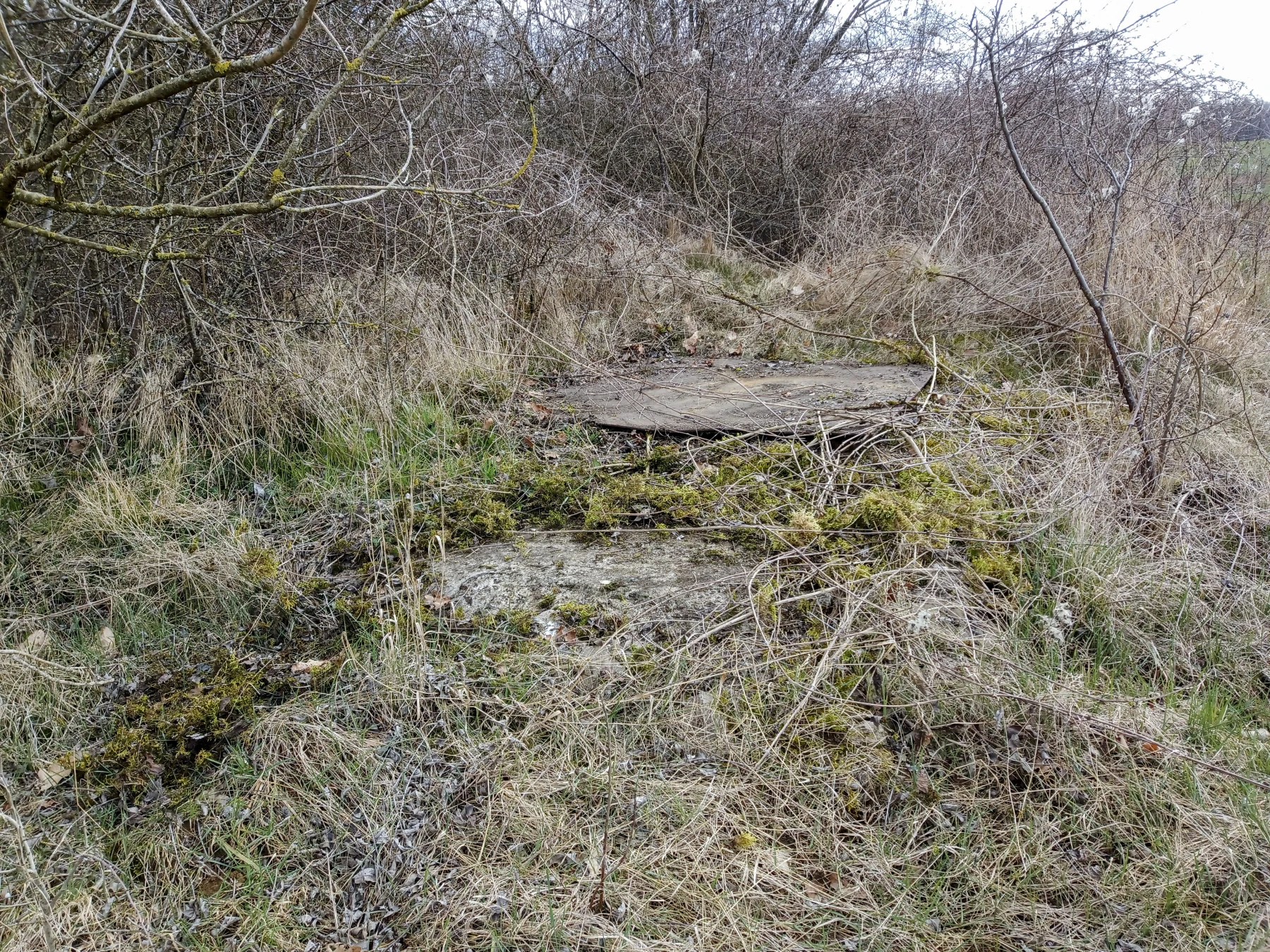 Ligne Maginot - 72T - (Chambre de coupure) - 