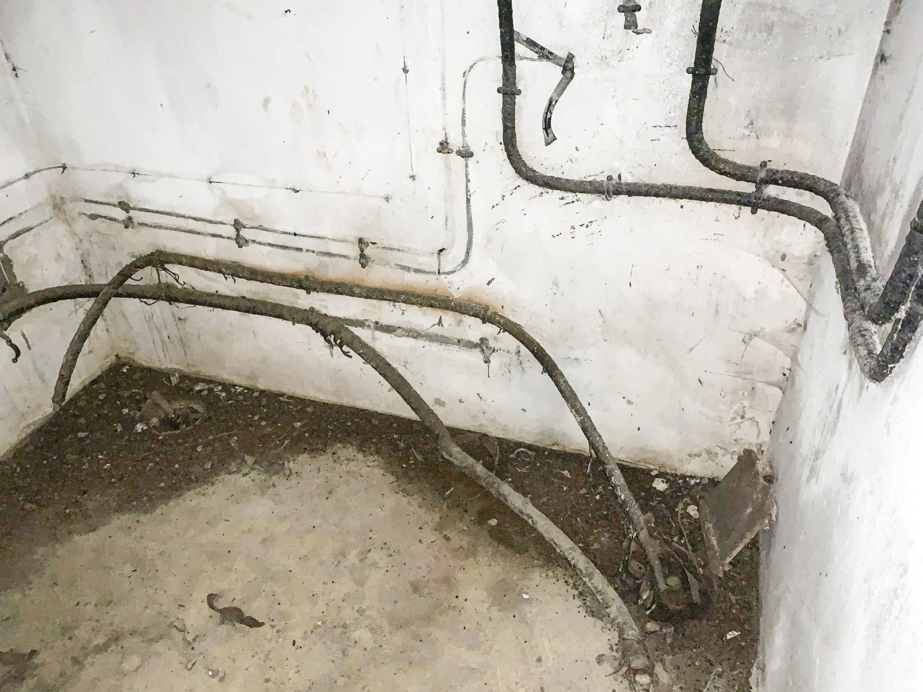 Ligne Maginot - 71T - (Chambre de coupure) - 