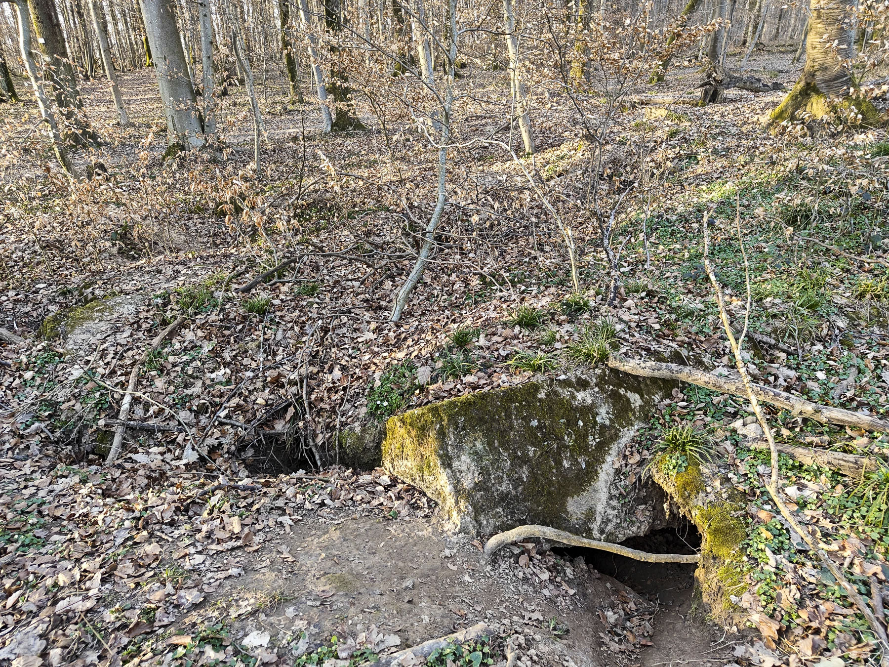 Ligne Maginot - GERSWEILER WALD - SUD 2 - (Abri) - Abri en ruine