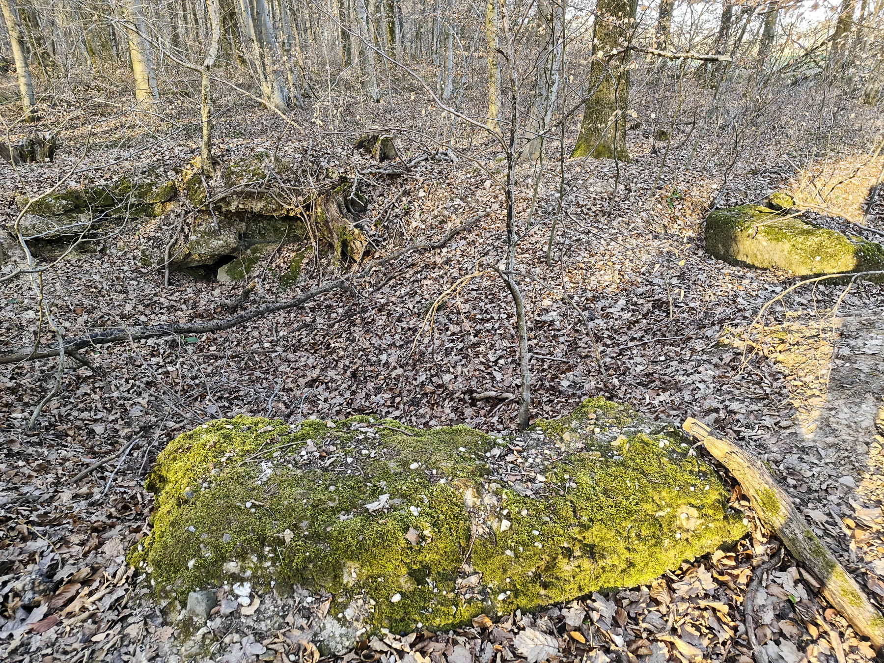 Ligne Maginot - GERSWEILER WALD - SUD 2 - (Abri) - Abri en ruine