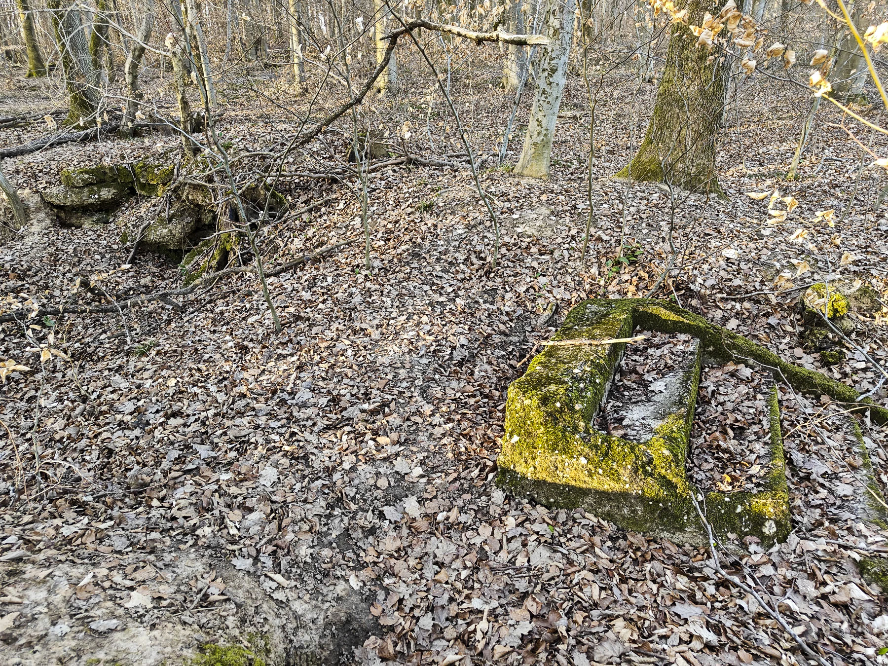 Ligne Maginot - GERSWEILER WALD - SUD 2 - (Abri) - Abri en ruine