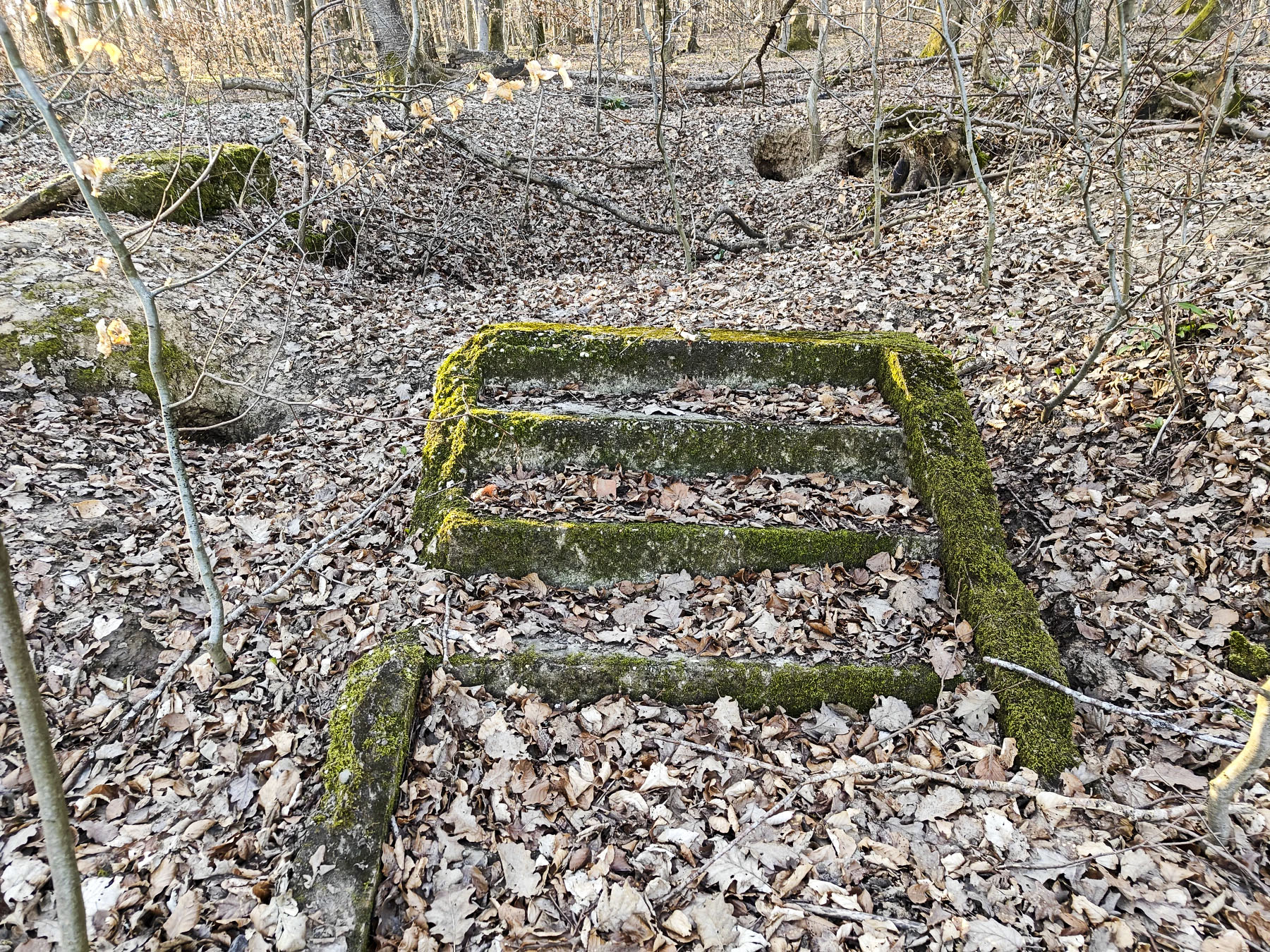 Ligne Maginot - GERSWEILER WALD - SUD 2 - (Abri) - Abri en ruine