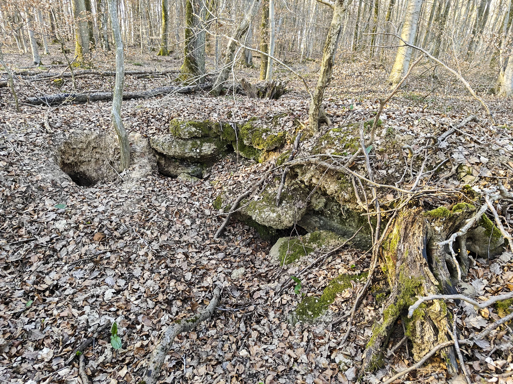 Ligne Maginot - GERSWEILER WALD - SUD 2 - (Abri) - Abri en ruine