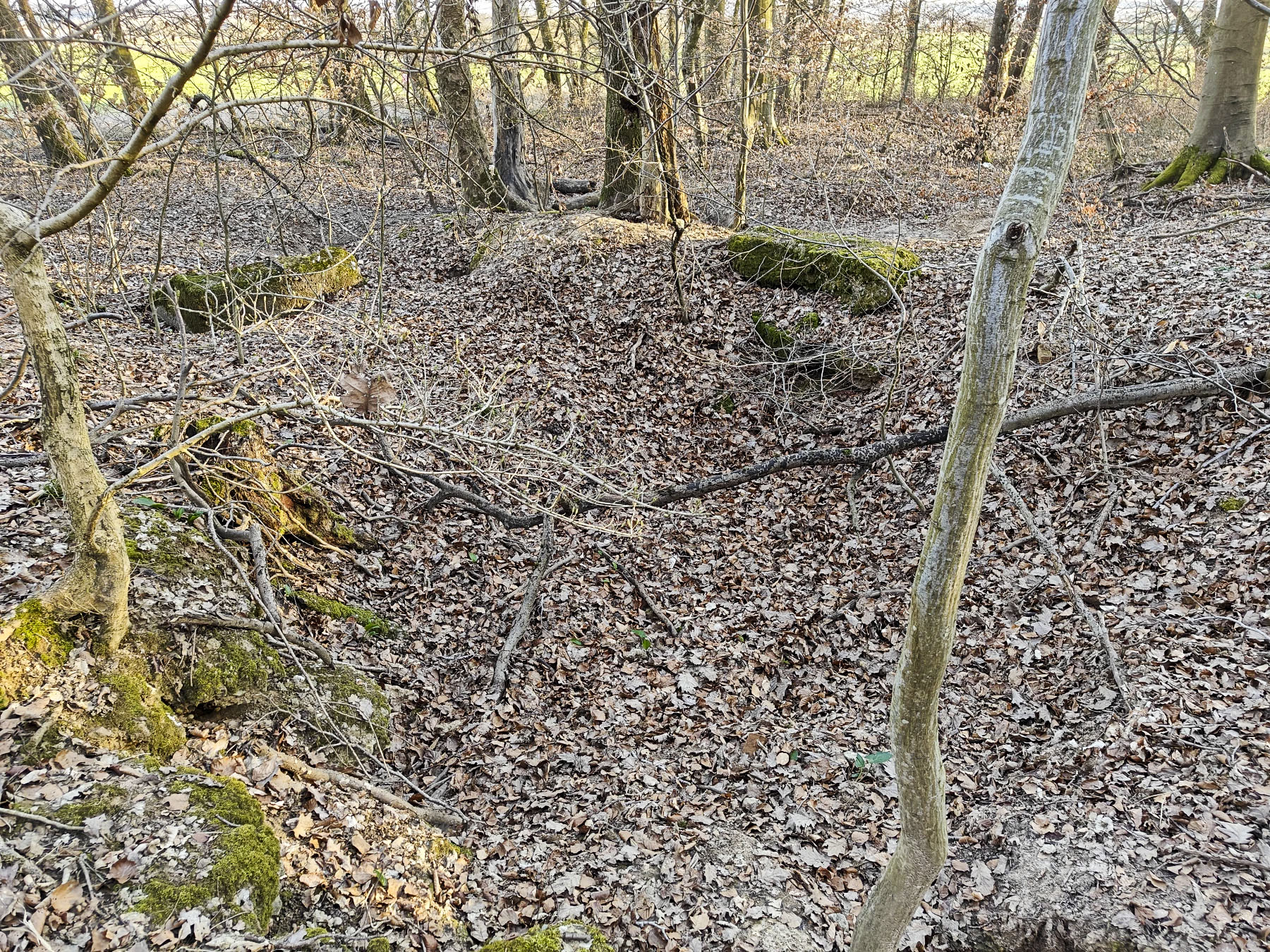 Ligne Maginot - GERSWEILER WALD - SUD 2 - (Abri) - Abri en ruine
