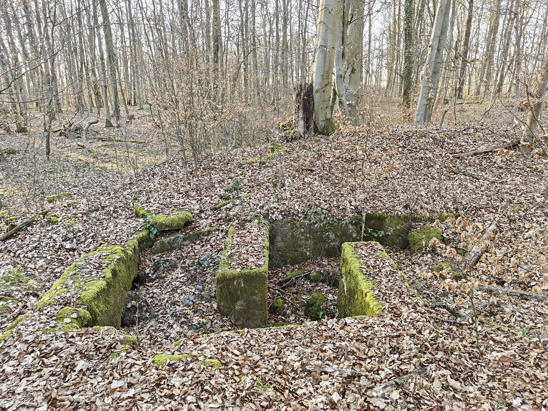 Ligne Maginot - GERSWEILER SUD 1 - (Blockhaus de type indéterminé) - Rare partie presque intacte