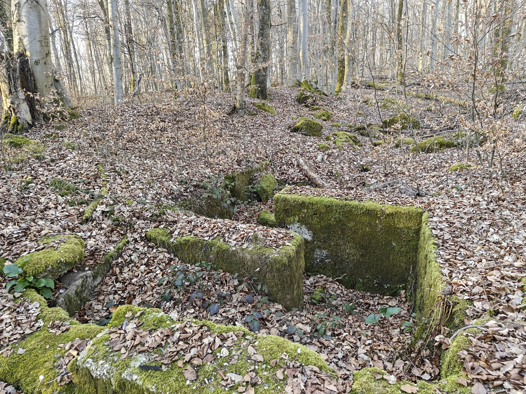 Ligne Maginot - GERSWEILER SUD 1 - (Blockhaus de type indéterminé) - Rare partie presque intacte