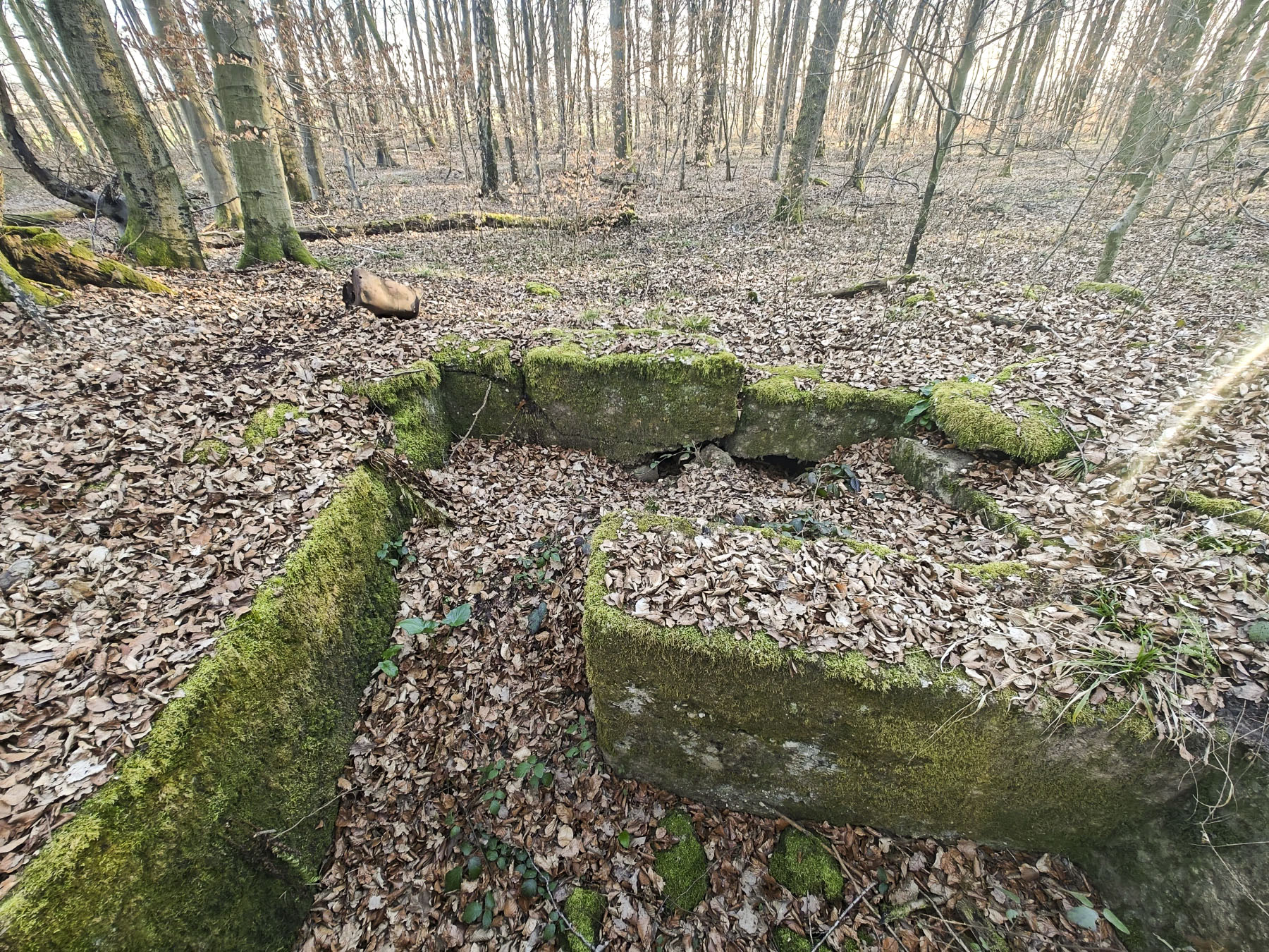 Ligne Maginot - GERSWEILER SUD 1 - (Blockhaus de type indéterminé) - Rare partie presque intacte