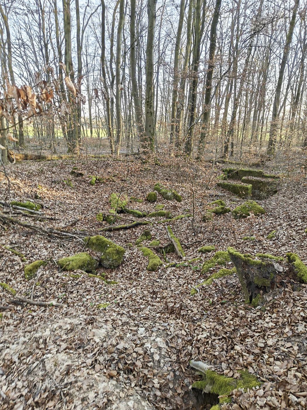 Ligne Maginot - GERSWEILER SUD 1 - (Blockhaus de type indéterminé) - Le reste n'est qu'un amas de ruines