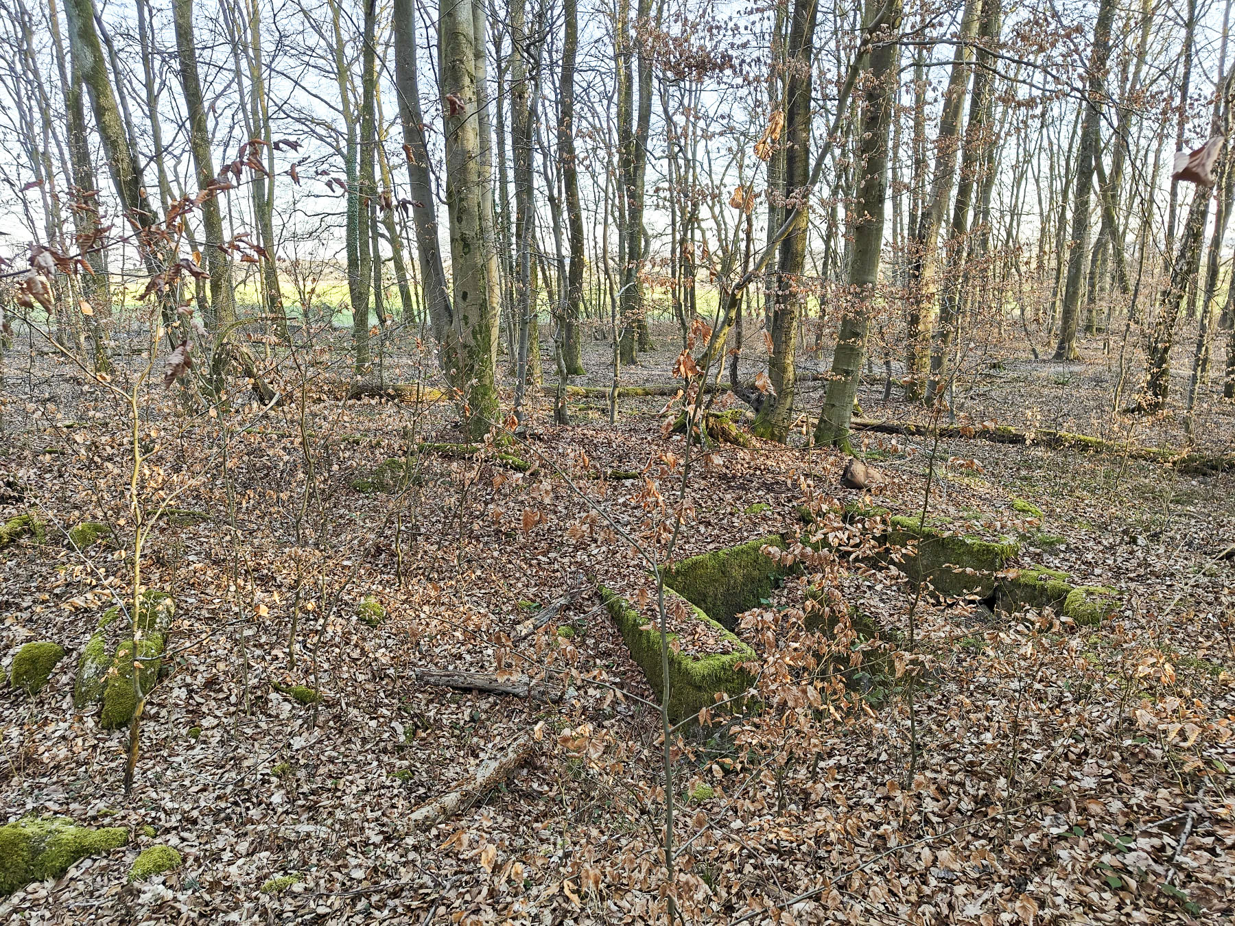Ligne Maginot - GERSWEILER SUD 1 - (Blockhaus de type indéterminé) - A l'autre extrémité une petite partie légèrement préservée