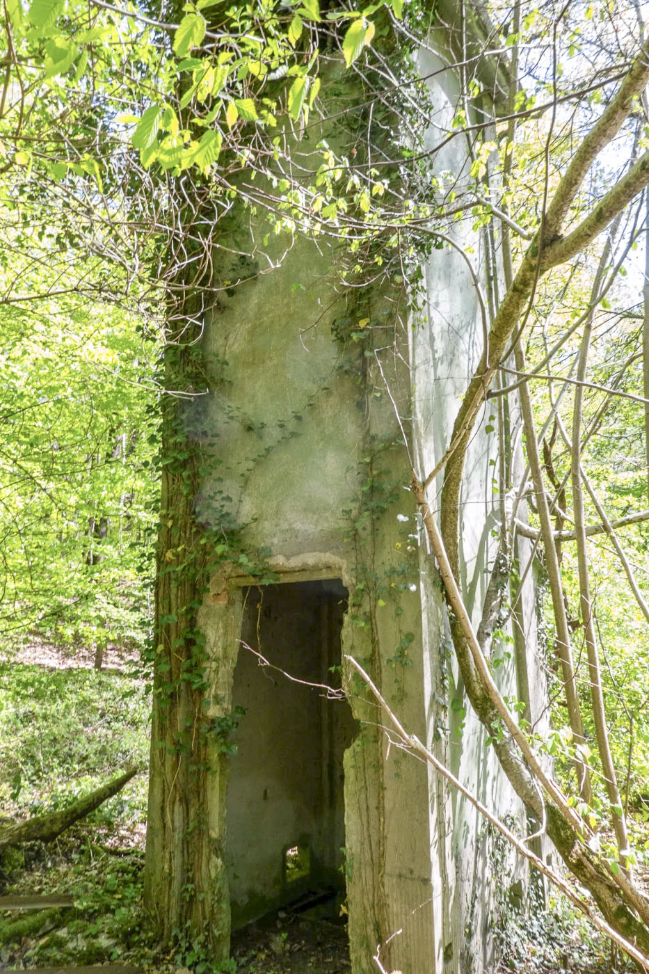 Ligne Maginot - BOIS DE KANFEN - (Infrastructures électriques) - 