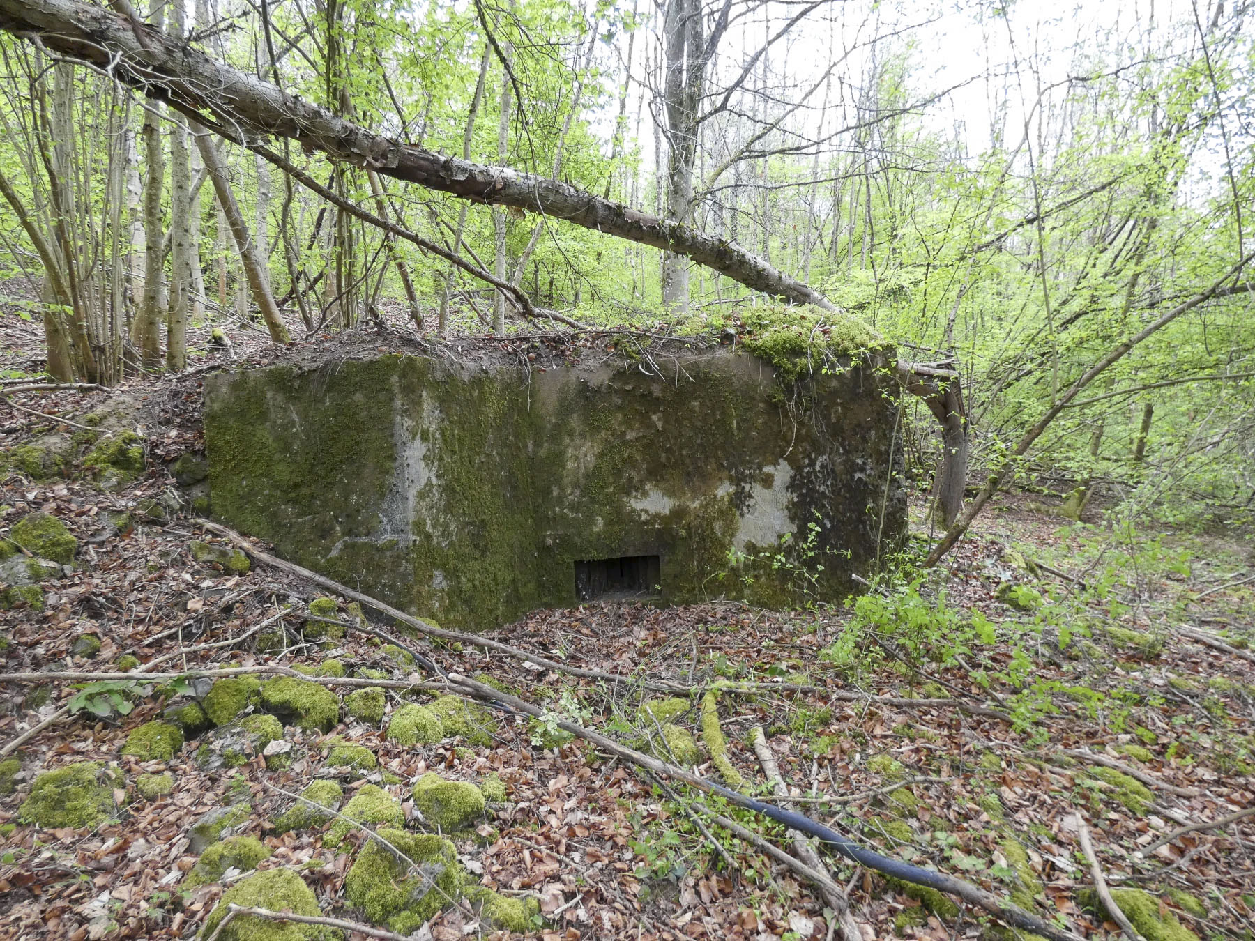 Ligne Maginot - BB237 - GALBERG NORD 1 - (Blockhaus pour arme infanterie) - La façade de tir frontale.