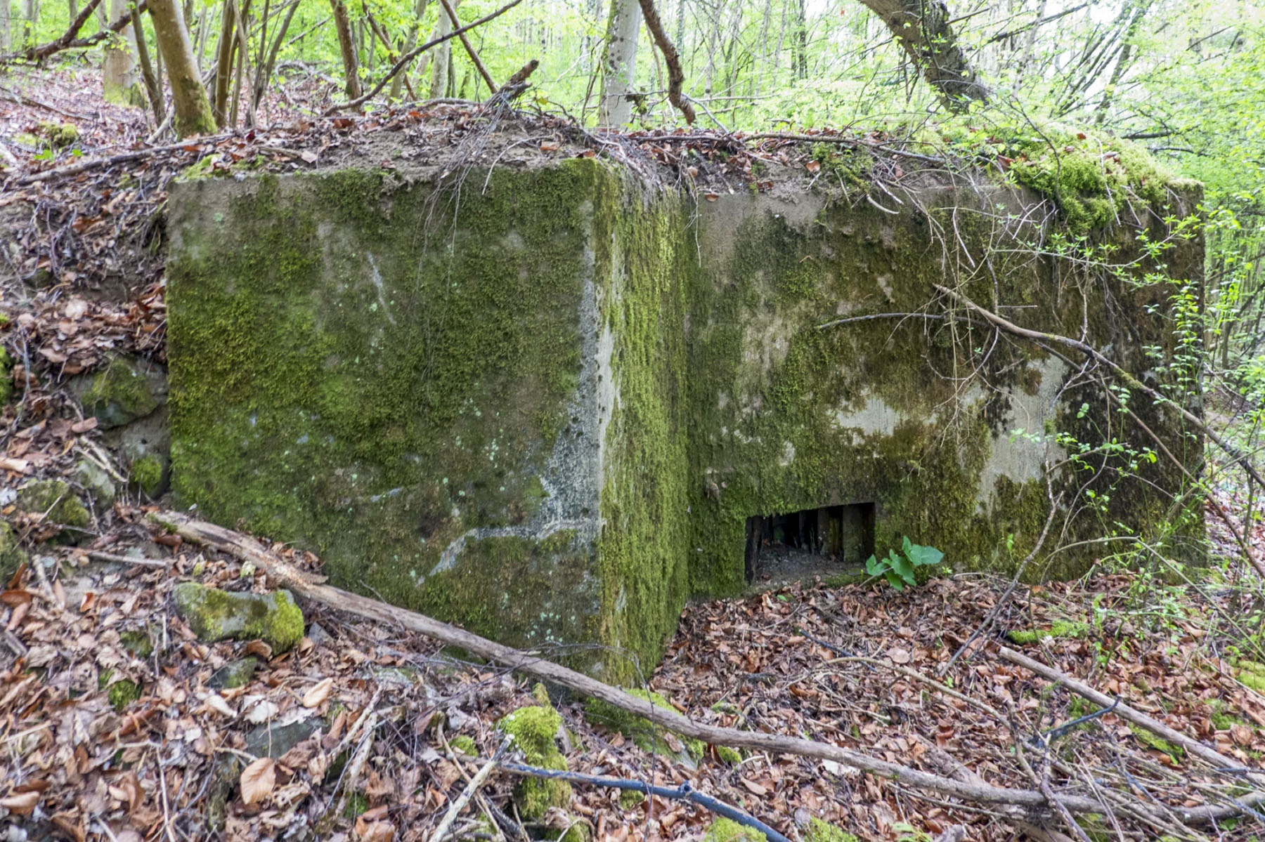 Ligne Maginot - BB237 - GALBERG NORD 1 - (Blockhaus pour arme infanterie) - 