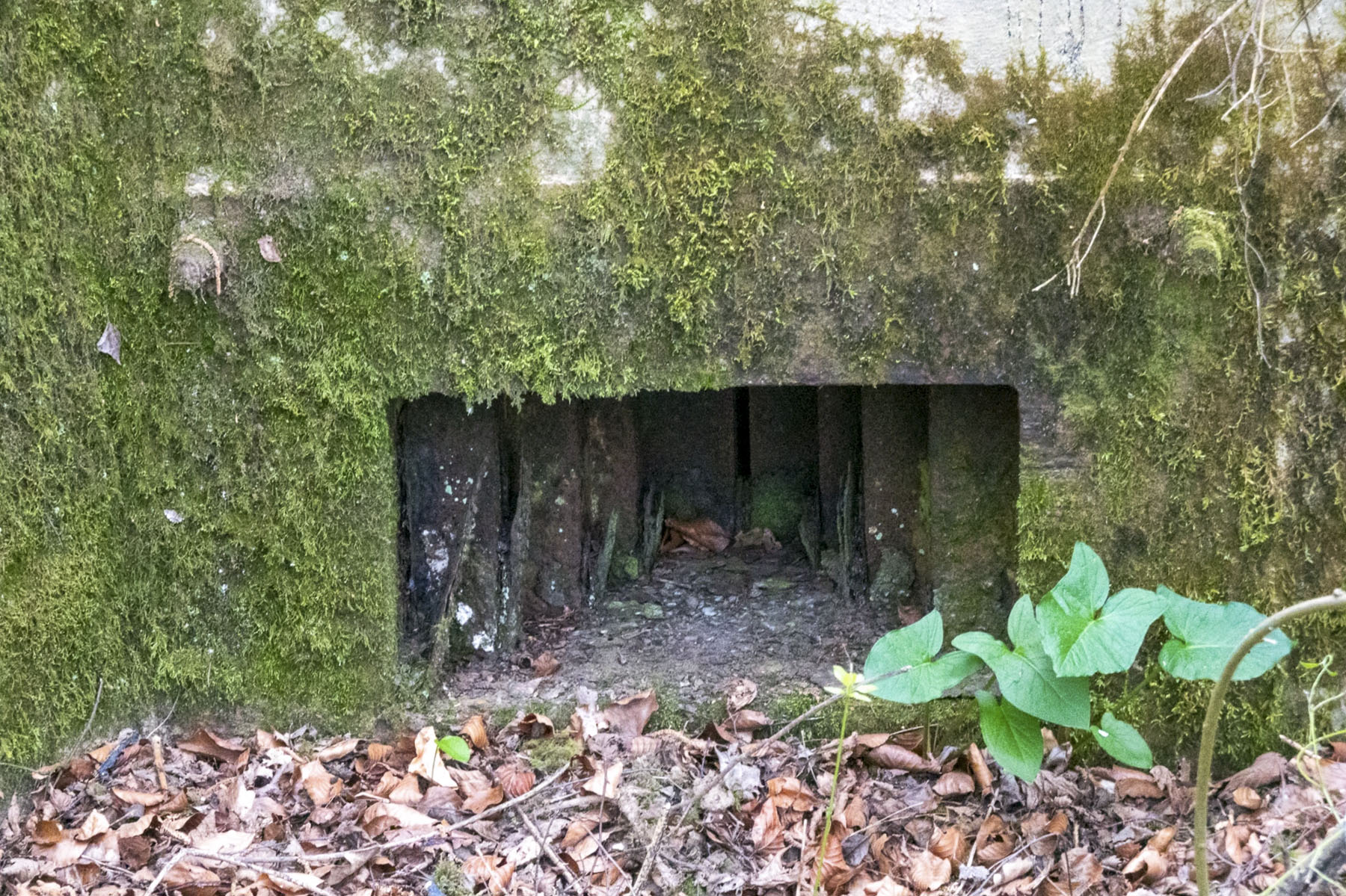 Ligne Maginot - BB237 - GALBERG NORD 1 - (Blockhaus pour arme infanterie) - Le créneaux pour mitrailleuse.