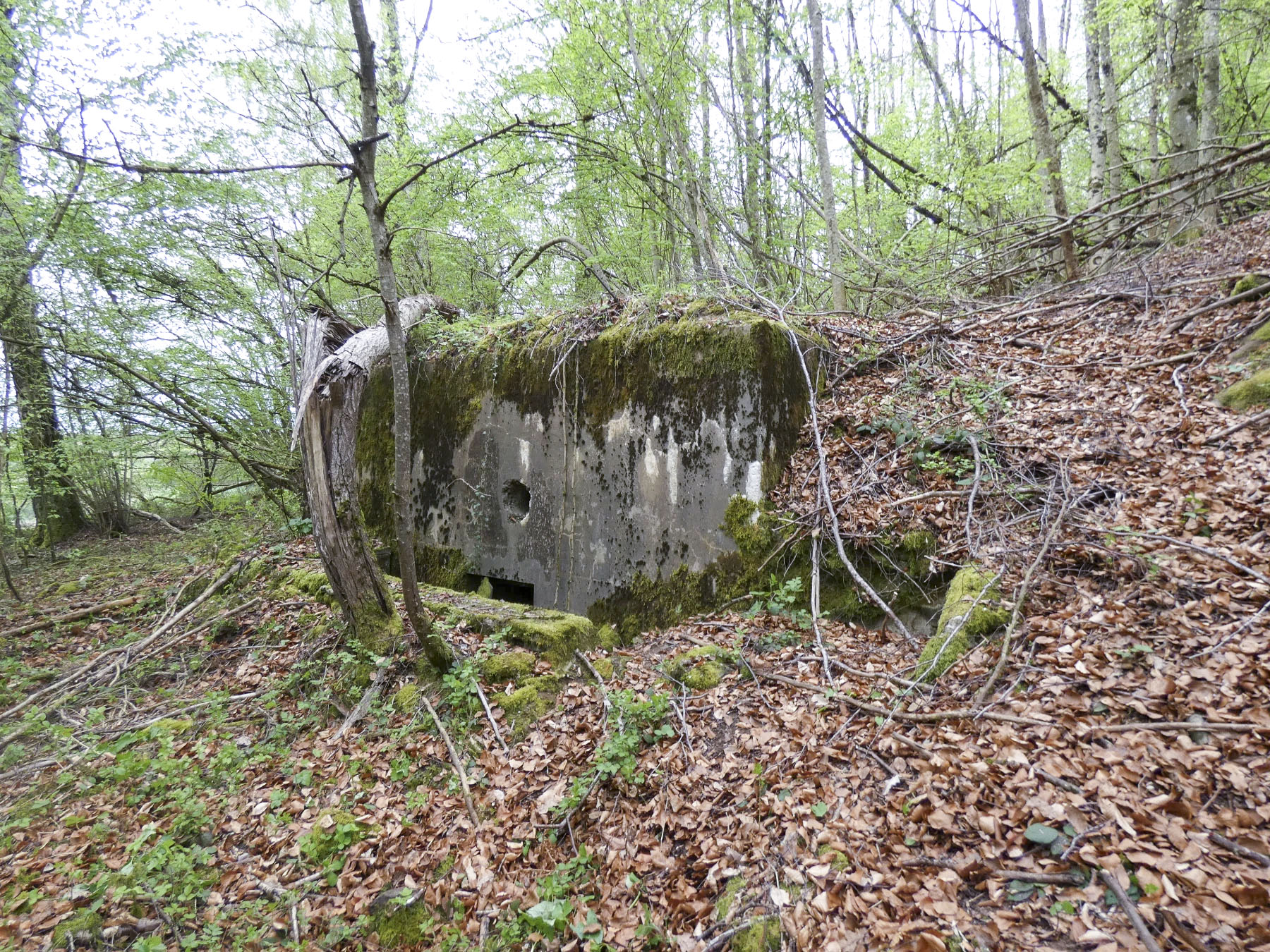 Ligne Maginot - BB237 - GALBERG NORD 1 - (Blockhaus pour arme infanterie) - L'entrée protégée du blockhaus.