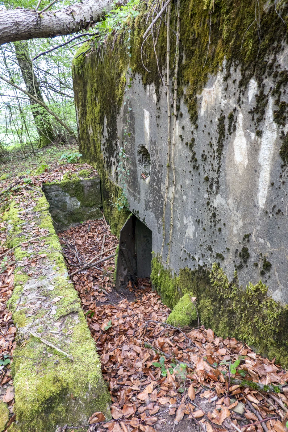 Ligne Maginot - BB237 - GALBERG NORD 1 - (Blockhaus pour arme infanterie) - L'entrée protégée du blockhaus.