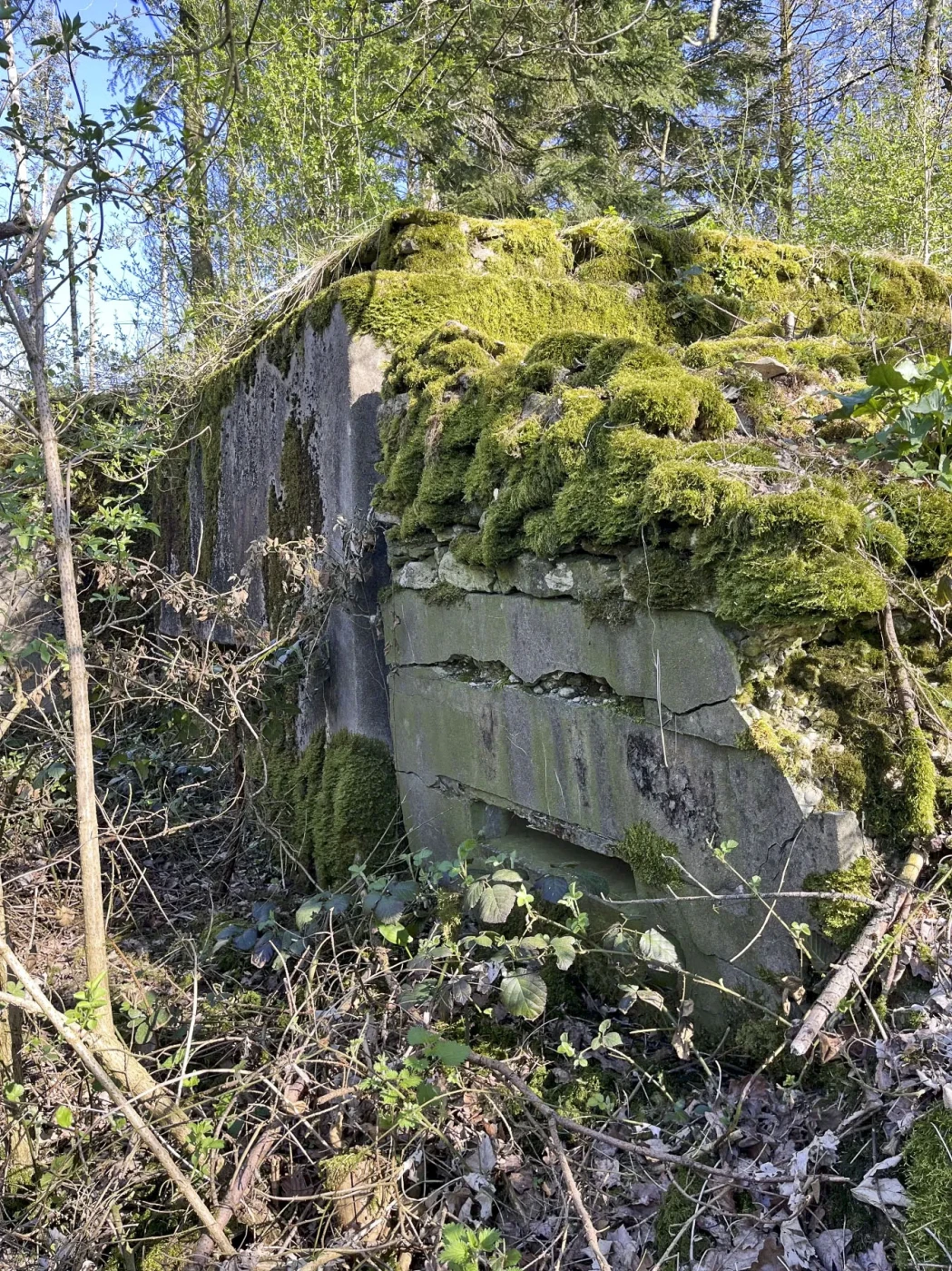 Ligne Maginot - AB312 - MEDERCHEN NORD-OUEST - (Blockhaus pour canon) - L'annexe du blockhaus