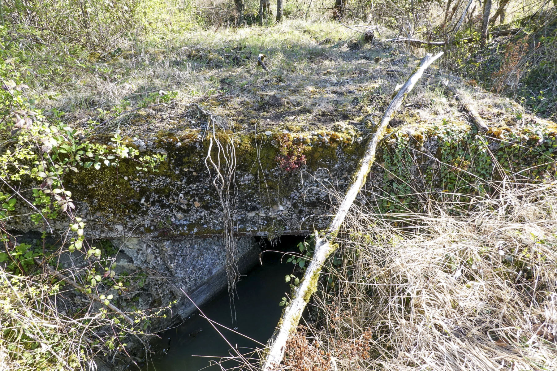 Ligne Maginot - BAN SAINT JEAN - (Abri) - Entrée Ouest