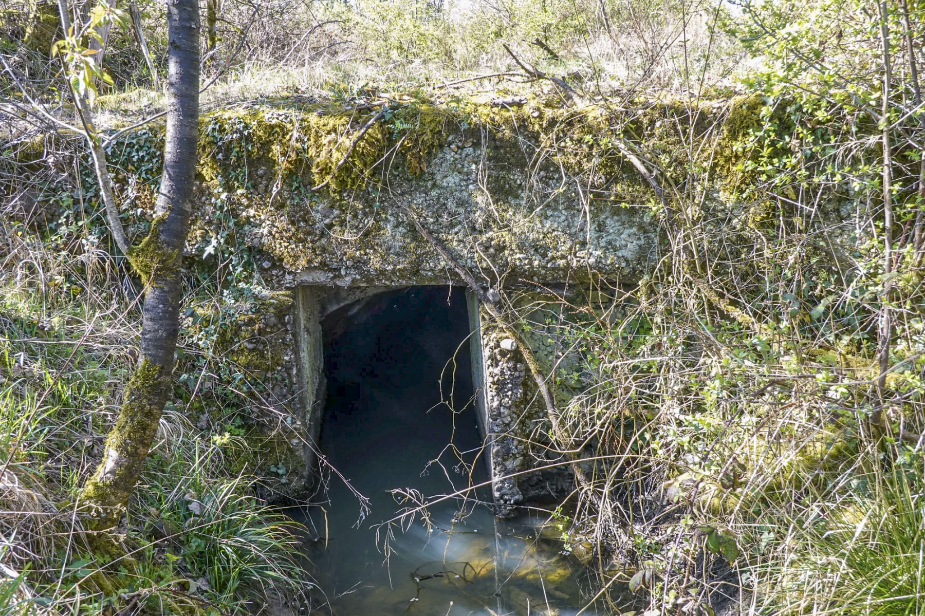 Ligne Maginot - BAN SAINT JEAN - (Abri) - Entrée Est