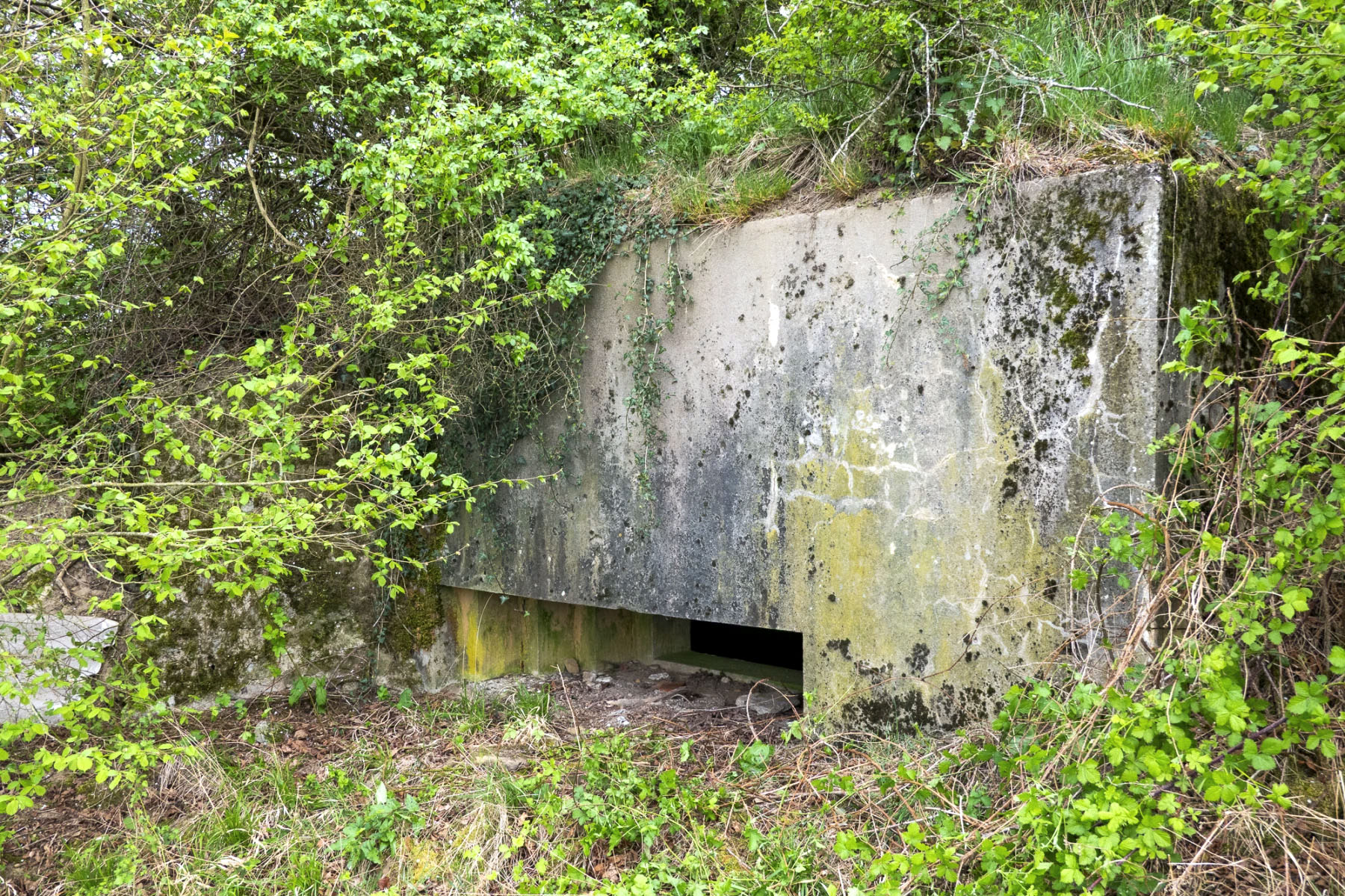 Ligne Maginot - BB212 - GALBERG EST - (Blockhaus pour canon) - 