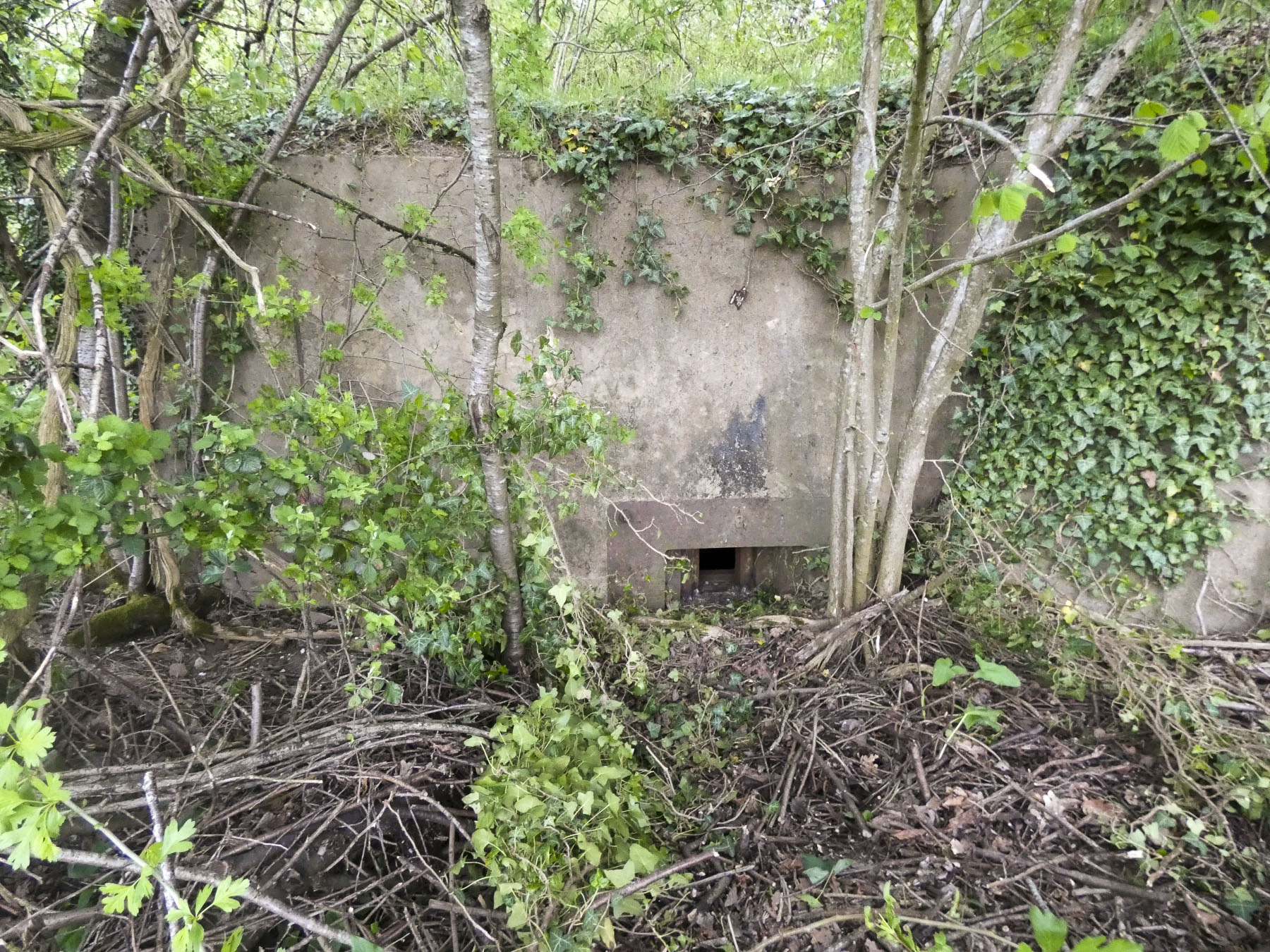 Ligne Maginot - BB236 - GALBERG SUD - (Blockhaus pour arme infanterie) - La façade de tir principale.
