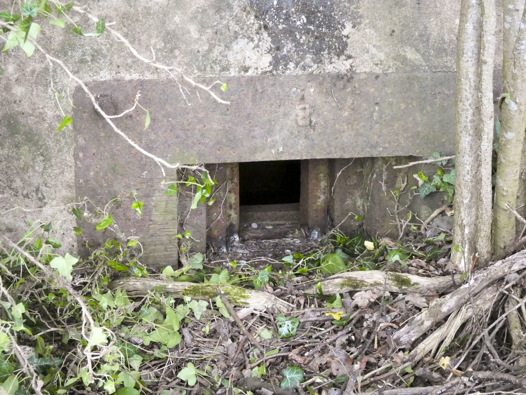 Ligne Maginot - BB236 - GALBERG SUD - (Blockhaus pour arme infanterie) - La trémie de l'embrasure pour mitrailleuse.
