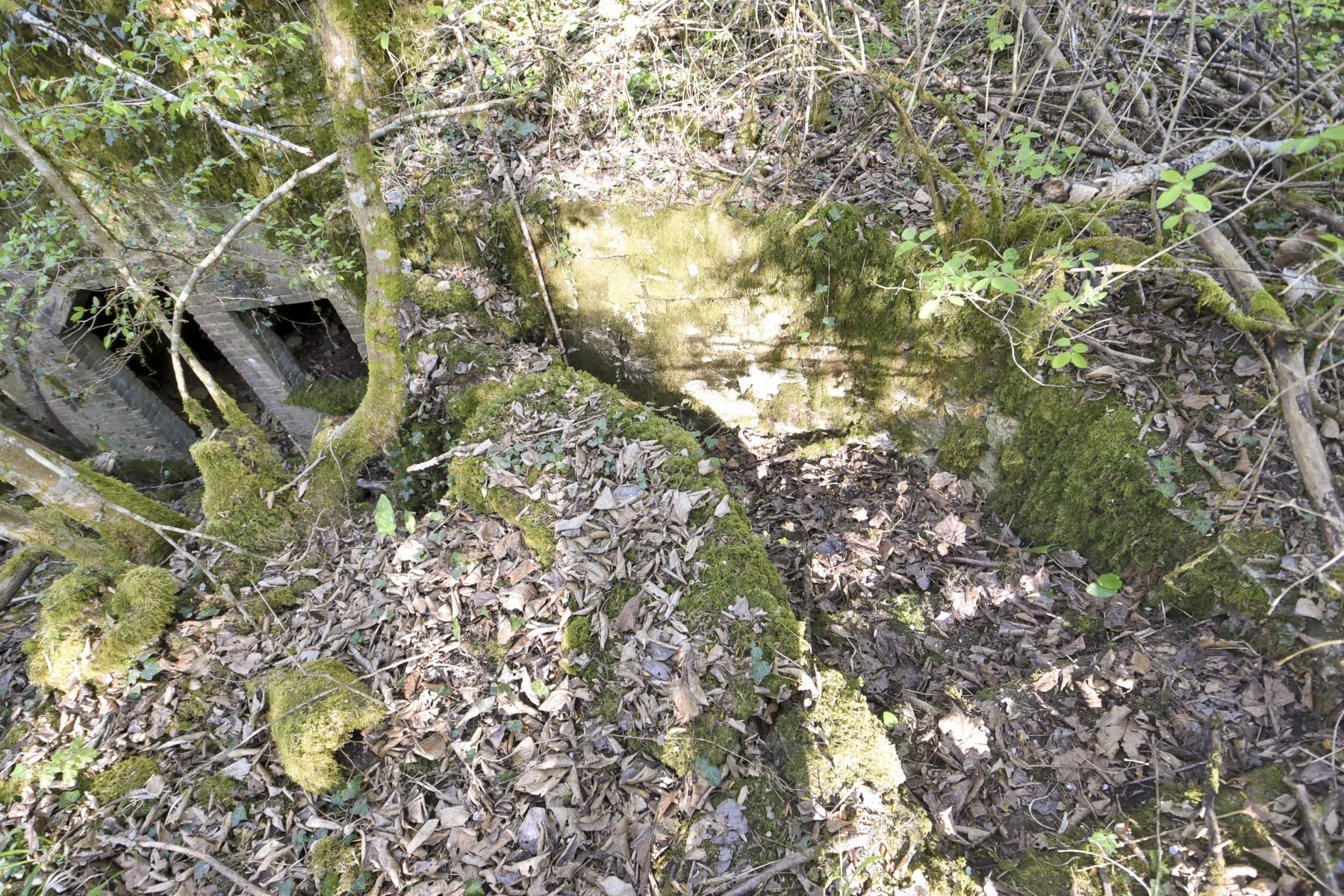 Ligne Maginot - MEDERCHEN NORD (2° CIE - I/160° RIF) - (PC de Sous-Quartier) - L'escalier d'accès