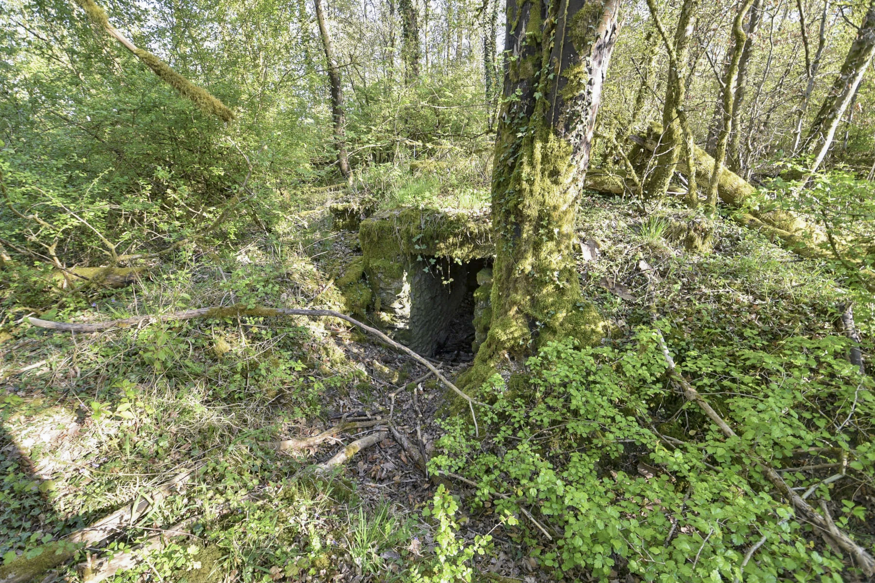 Ligne Maginot - MEDERCHEN NORD 3 - (Observatoire d'infanterie) - 