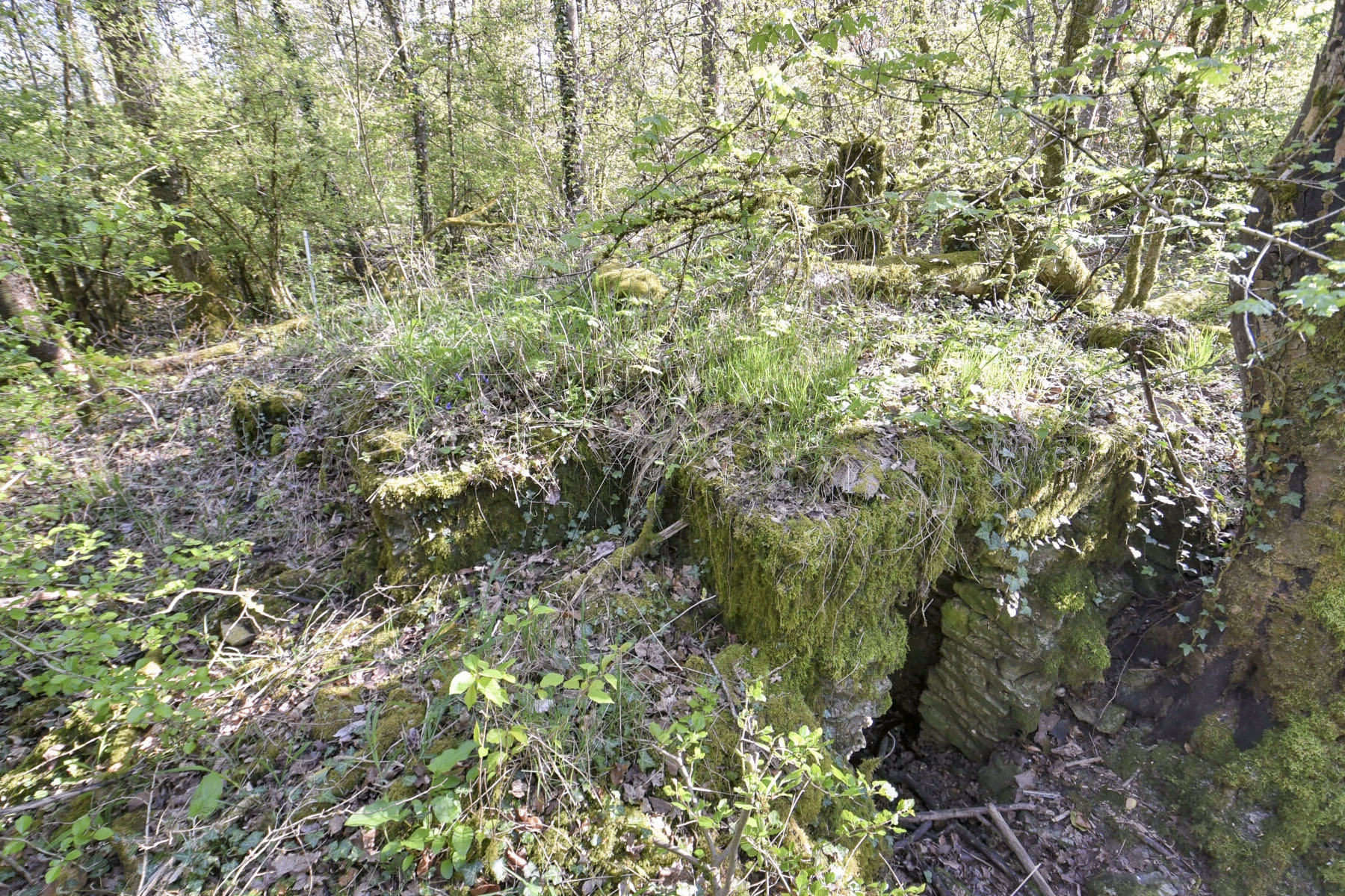 Ligne Maginot - MEDERCHEN NORD 3 - (Observatoire d'infanterie) - 