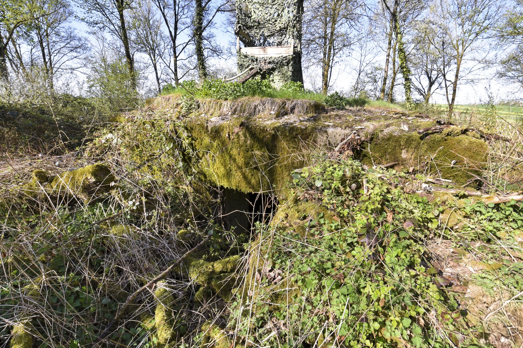 Ligne Maginot - AB311 - MEDERCHEN NORD - (Blockhaus pour canon) - L'entrée du matériel