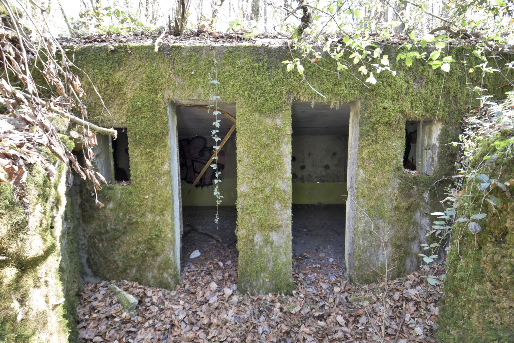 Ligne Maginot - GROS BOIS (160° RIF) - (PC de Sous-Secteur) - Le bâtiment central du PC
