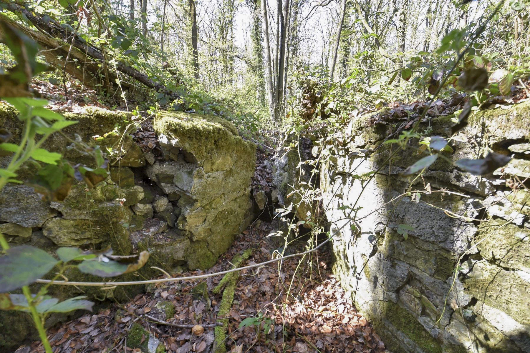 Ligne Maginot - GROS BOIS (160° RIF) - (PC de Sous-Secteur) - La tranchée effondrée