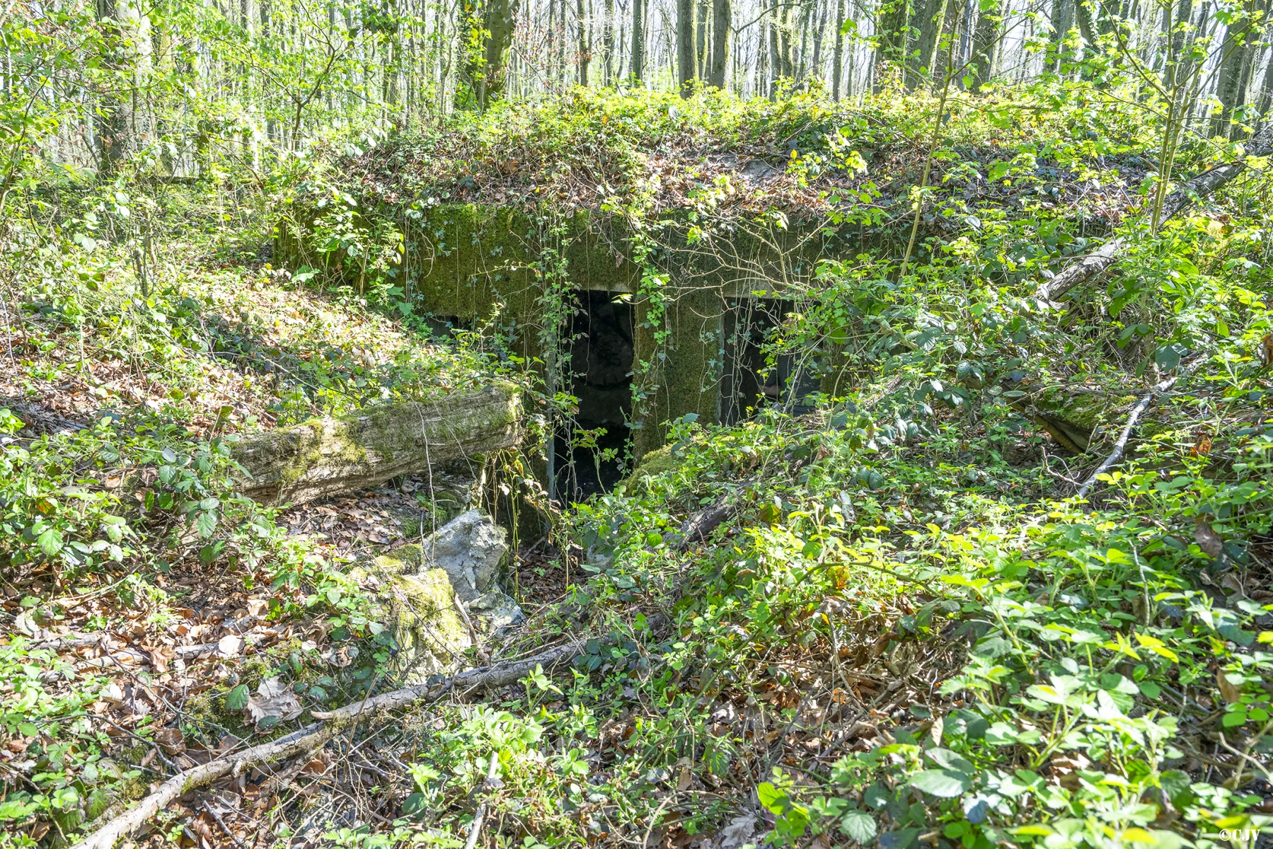 Ligne Maginot - GROS BOIS (160° RIF) - (PC de Sous-Secteur) - Le bâtiment du central téléphonique