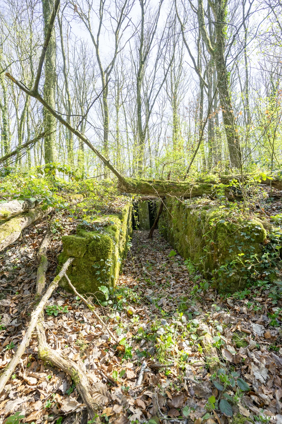 Ligne Maginot - GROS BOIS (160° RIF) - (PC de Sous-Secteur) - Le bâtiment central du PC