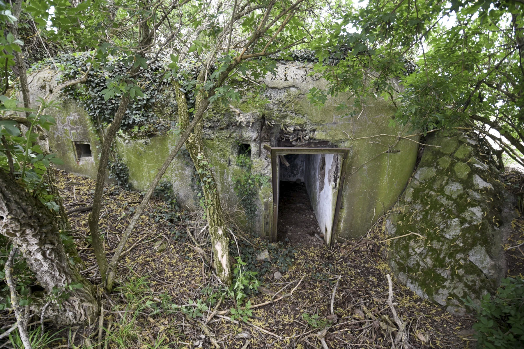Ligne Maginot - A - (Chambre de coupure - Avec central) - 