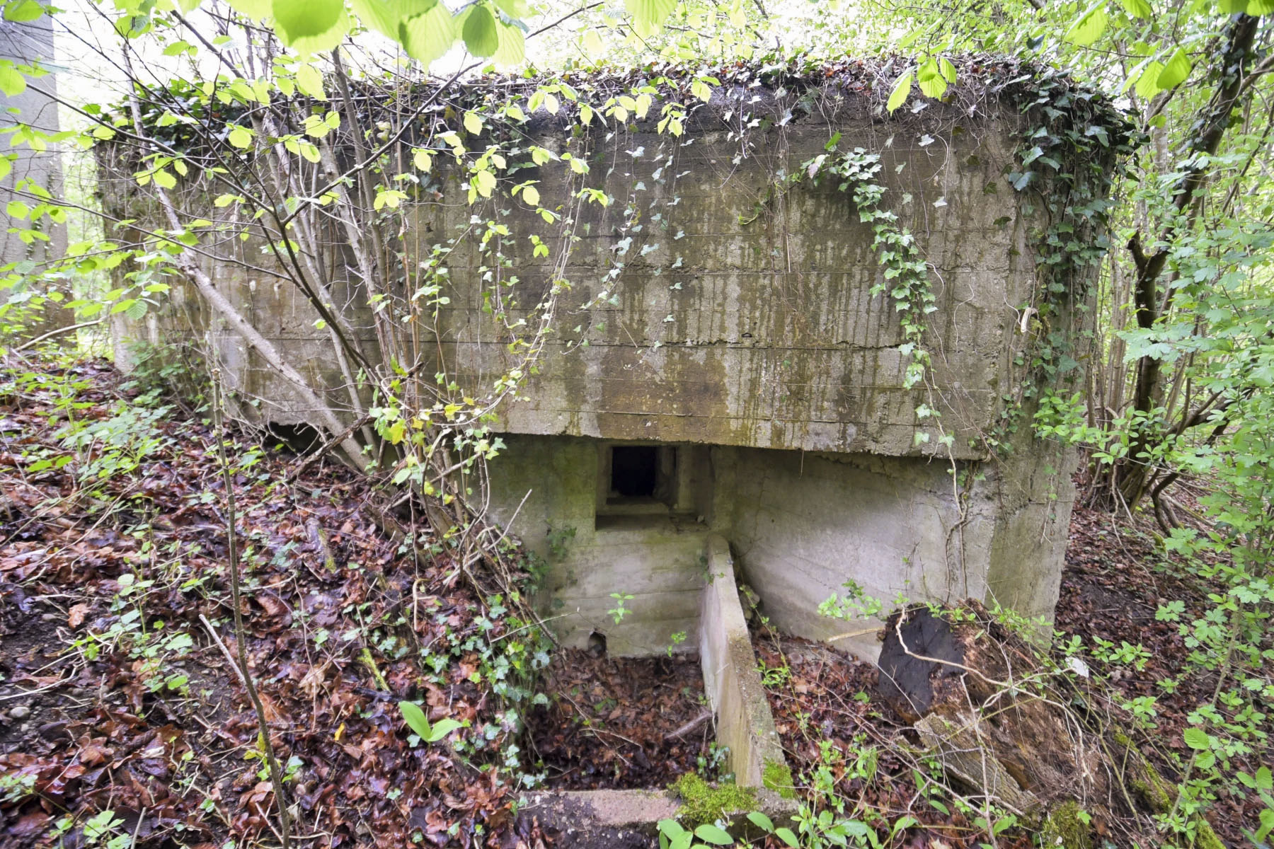 Ligne Maginot - POLDER D'ERSTEIN 3 - (Blockhaus pour arme infanterie) - 