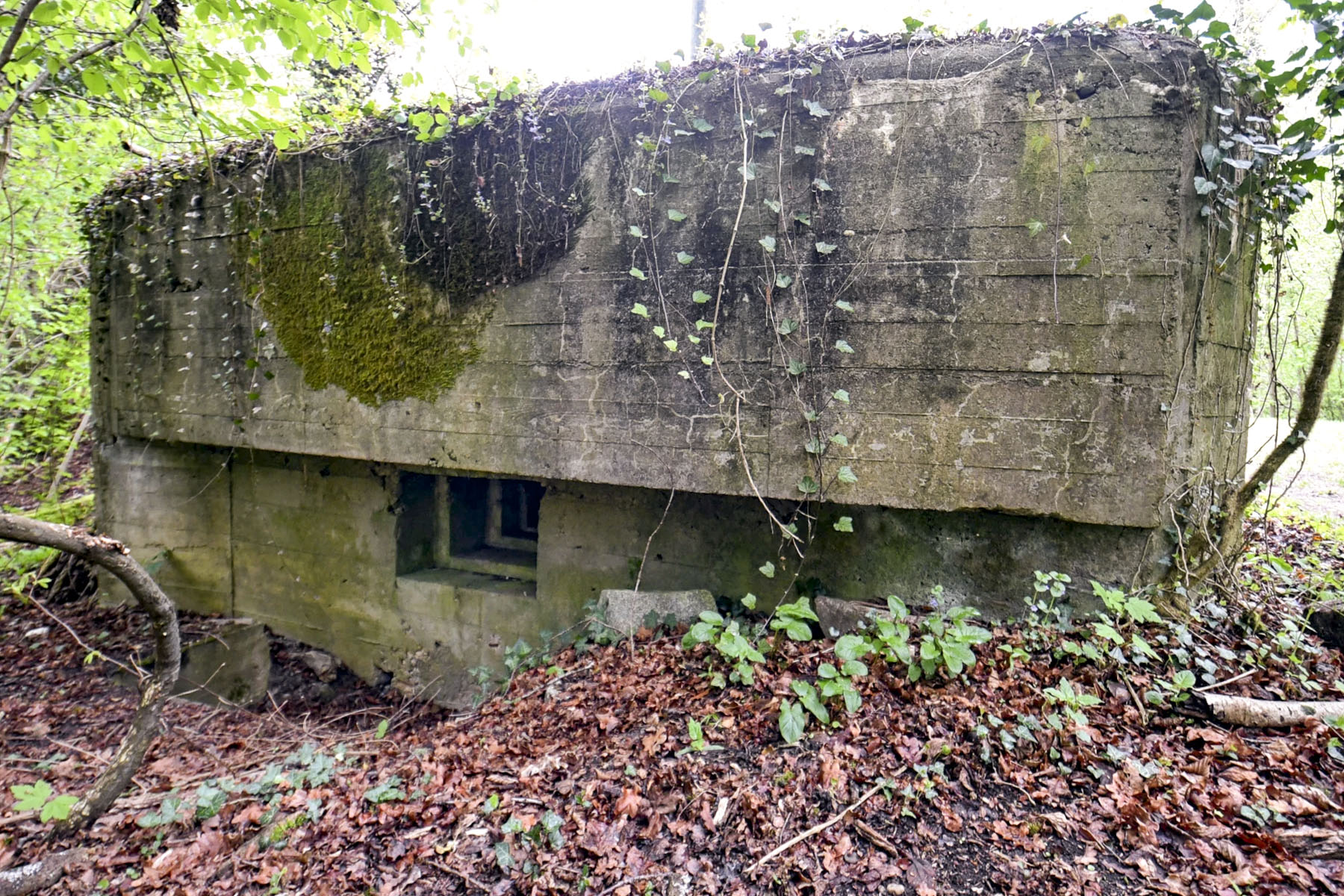 Ligne Maginot - POLDER D'ERSTEIN 3 - (Blockhaus pour arme infanterie) - 