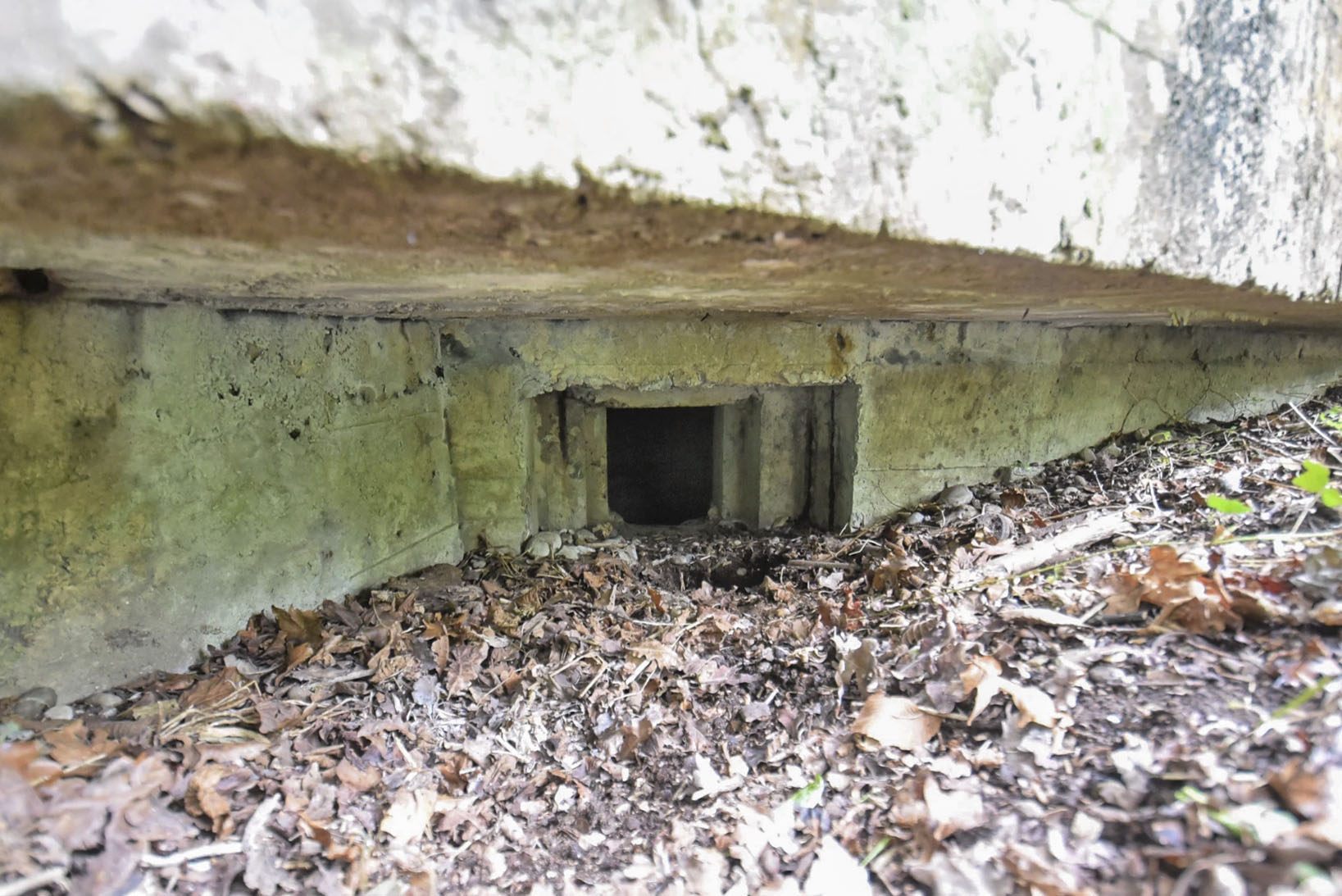 Ligne Maginot - POLDER D'ERSTEIN 3 - (Blockhaus pour arme infanterie) - 
