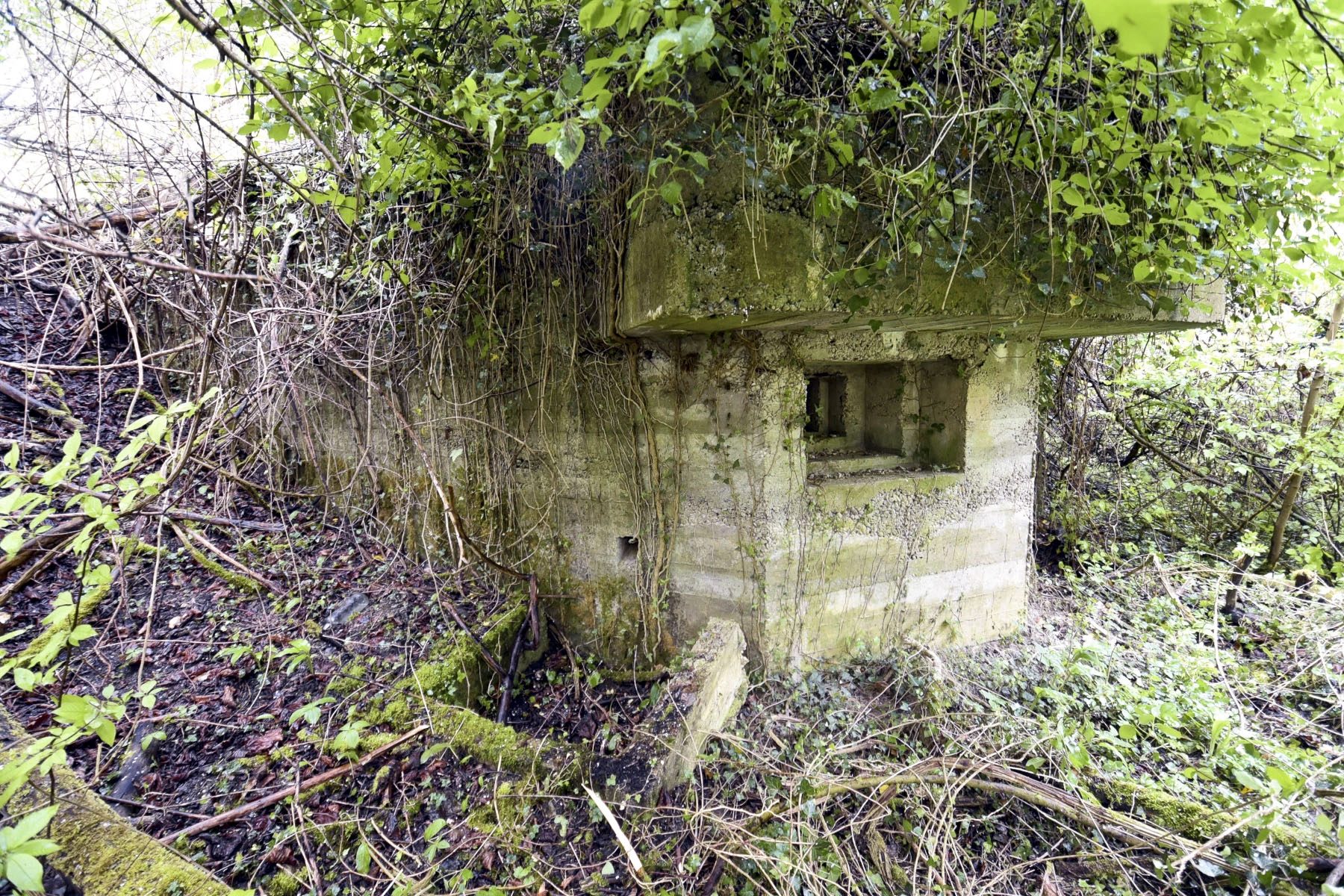 Ligne Maginot - POLDER D'ERSTEIN 2 - (Blockhaus pour arme infanterie) - 