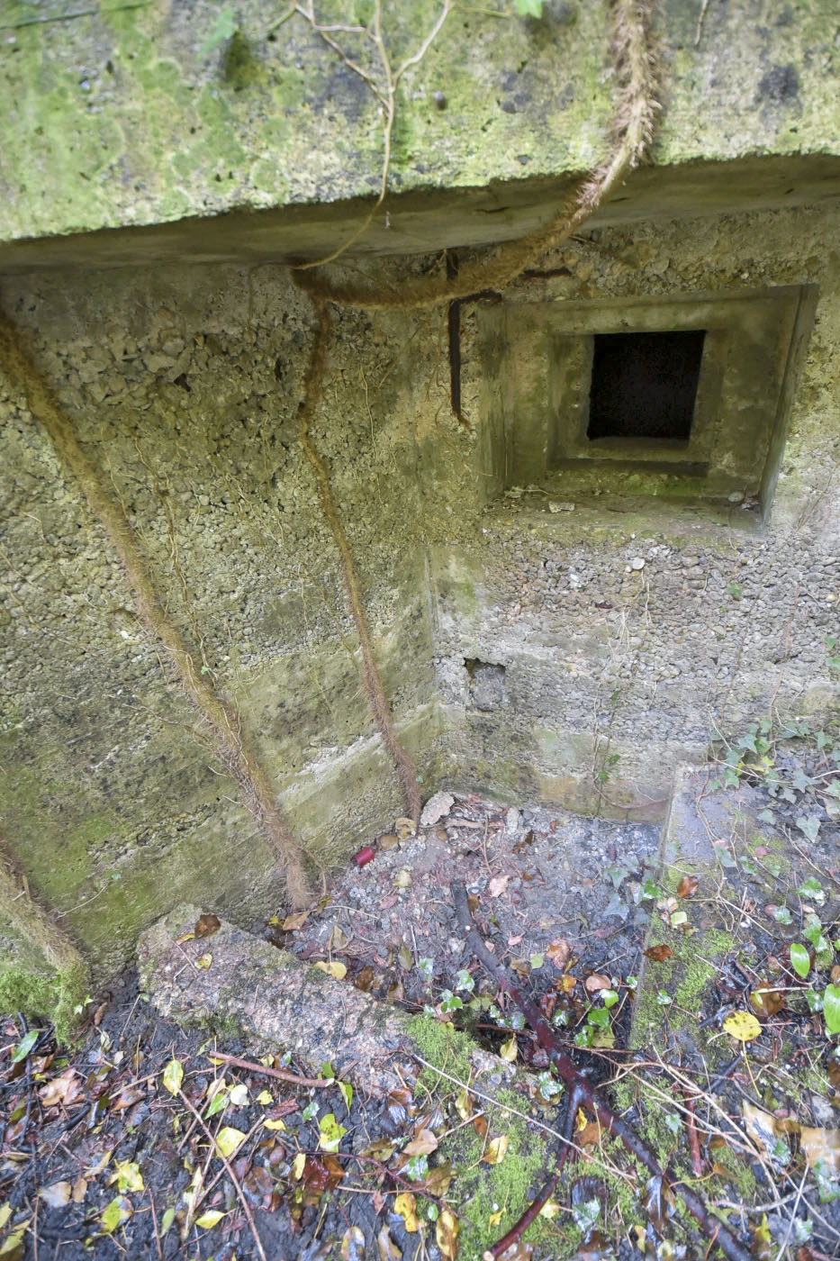 Ligne Maginot - POLDER D'ERSTEIN 2 - (Blockhaus pour arme infanterie) - 